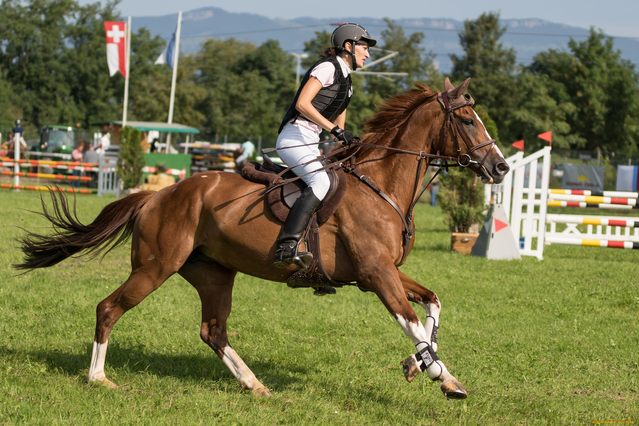 спорт, конный, спорт, ипподром, лошадь, жокей, скачки