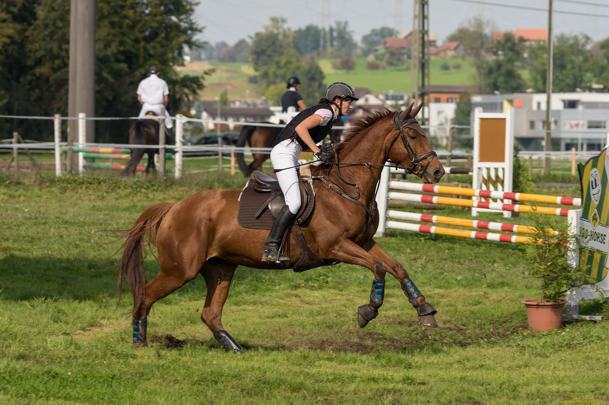 спорт, конный, спорт, лошадь, ипподром, жокей, скачки