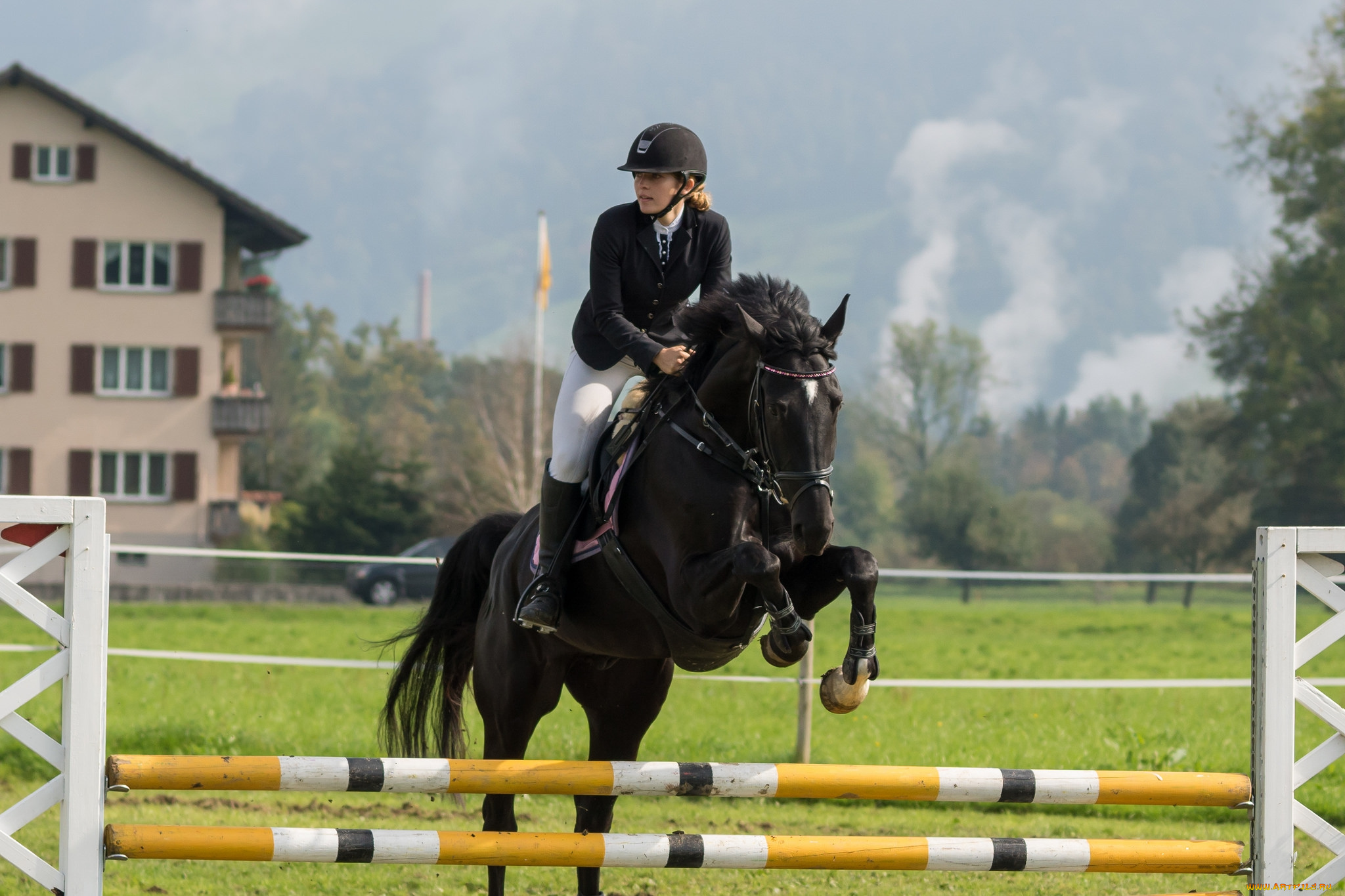 спорт, конный, спорт, скачки, лошадь, жокей, ипподром