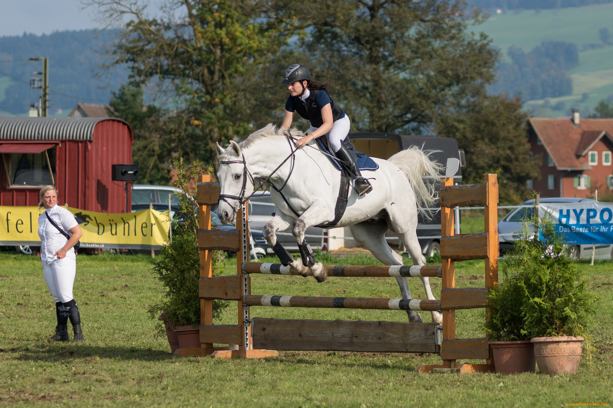 спорт, конный, спорт, скачки, жокей, ипподром, лошадь