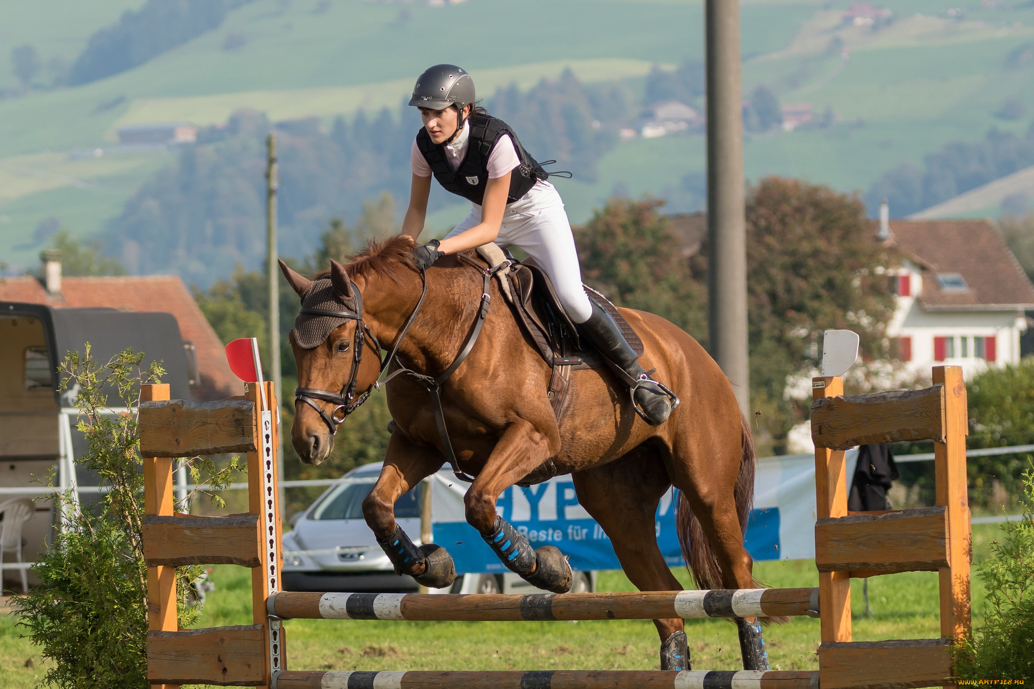 спорт, конный, спорт, скачки, жокей, ипподром, лошадь