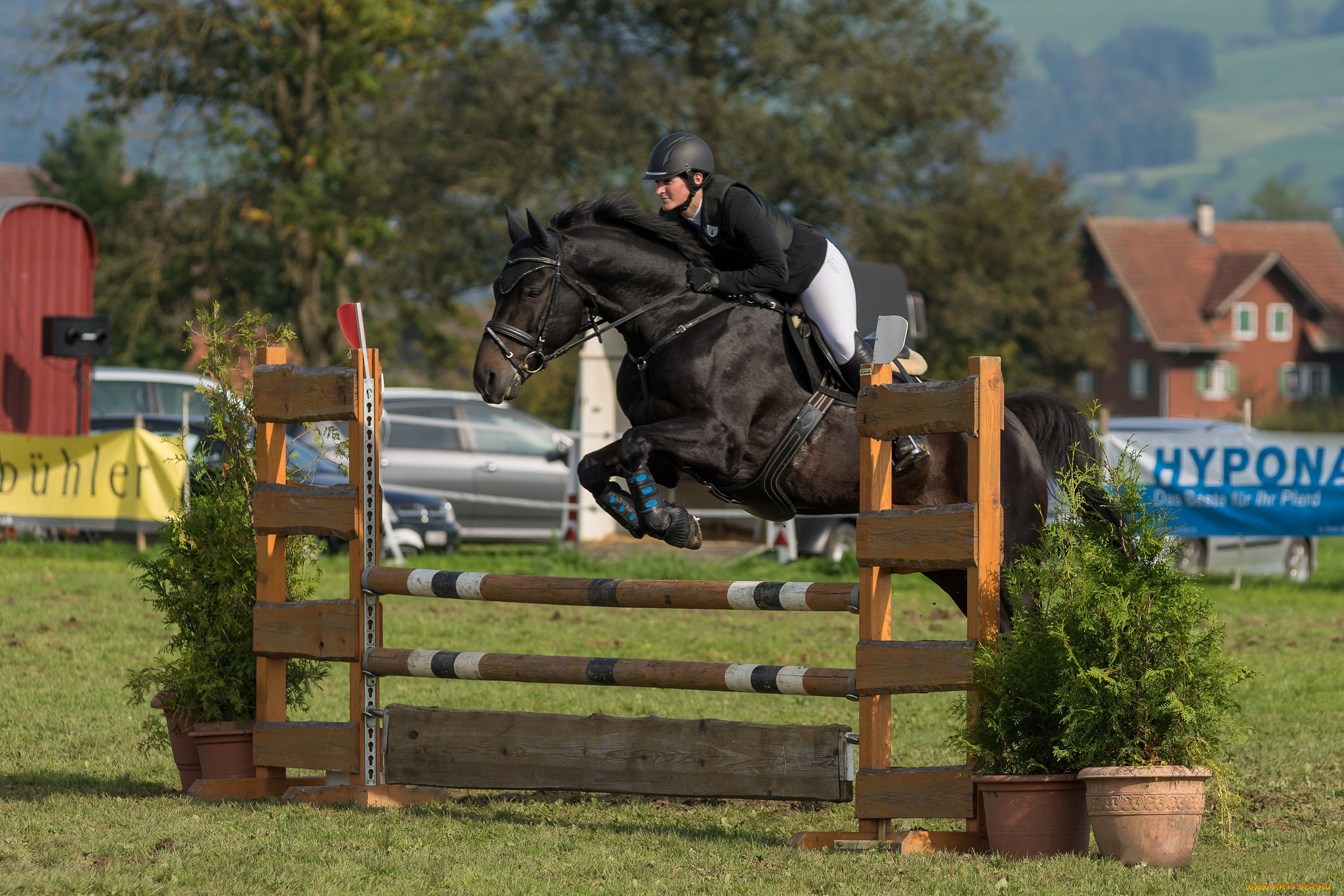 спорт, конный, спорт, жокей, лошадь, ипподром, скачки