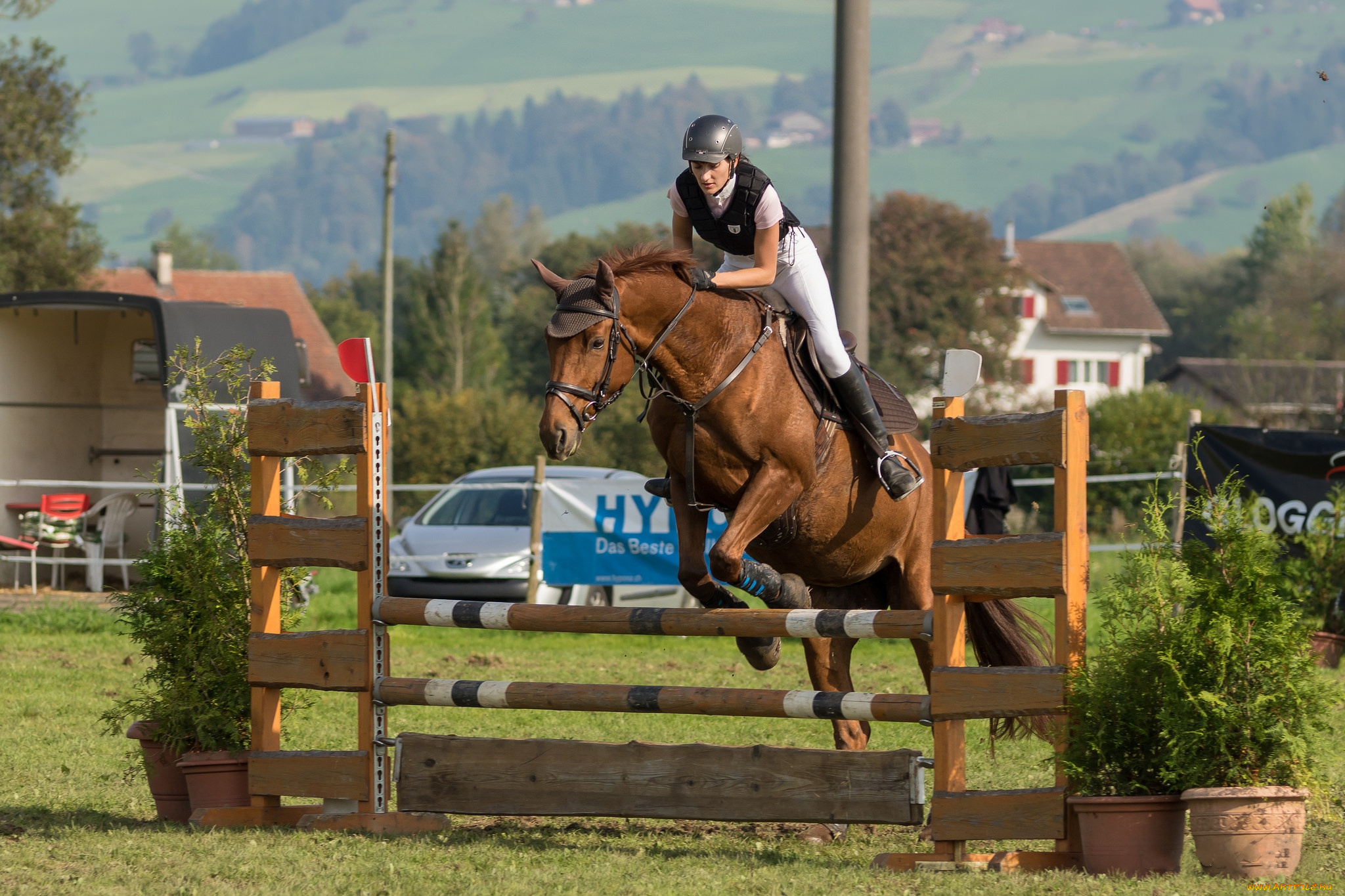 спорт, конный, спорт, жокей, скачки, лошадь, ипподром