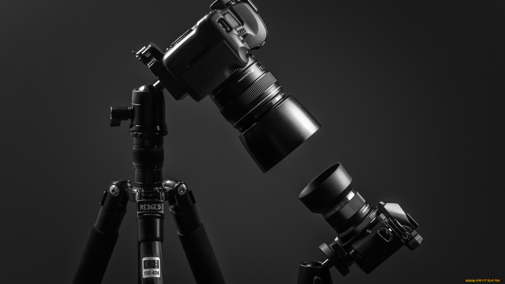 бренды, бренды, фотоаппаратов, , разное, canon, eos, 5d, mk, ii, om-d, e-m10, olympus