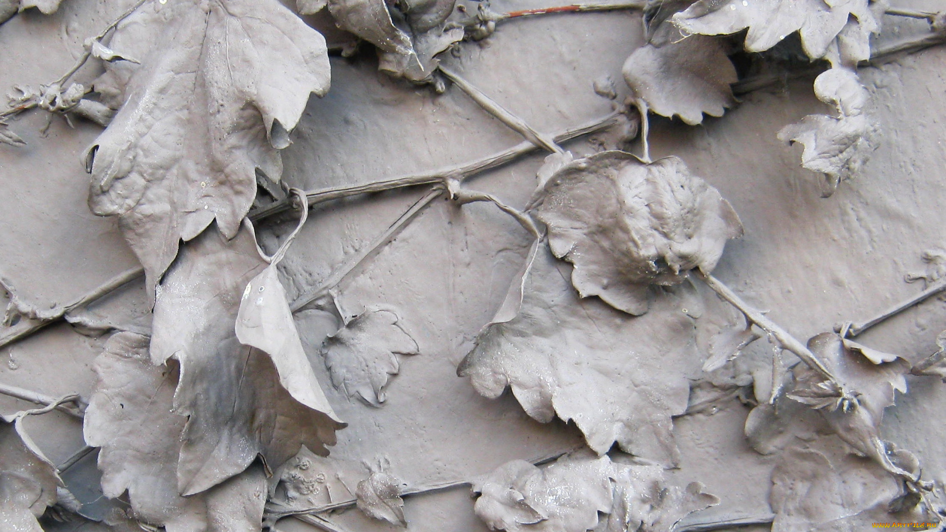 разное, -, другое, листья, фон, краска