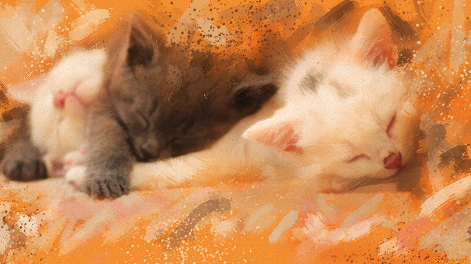 рисованное, животные, , коты, акварель, картина, белые, серый, мазки, разводы, спят, котята