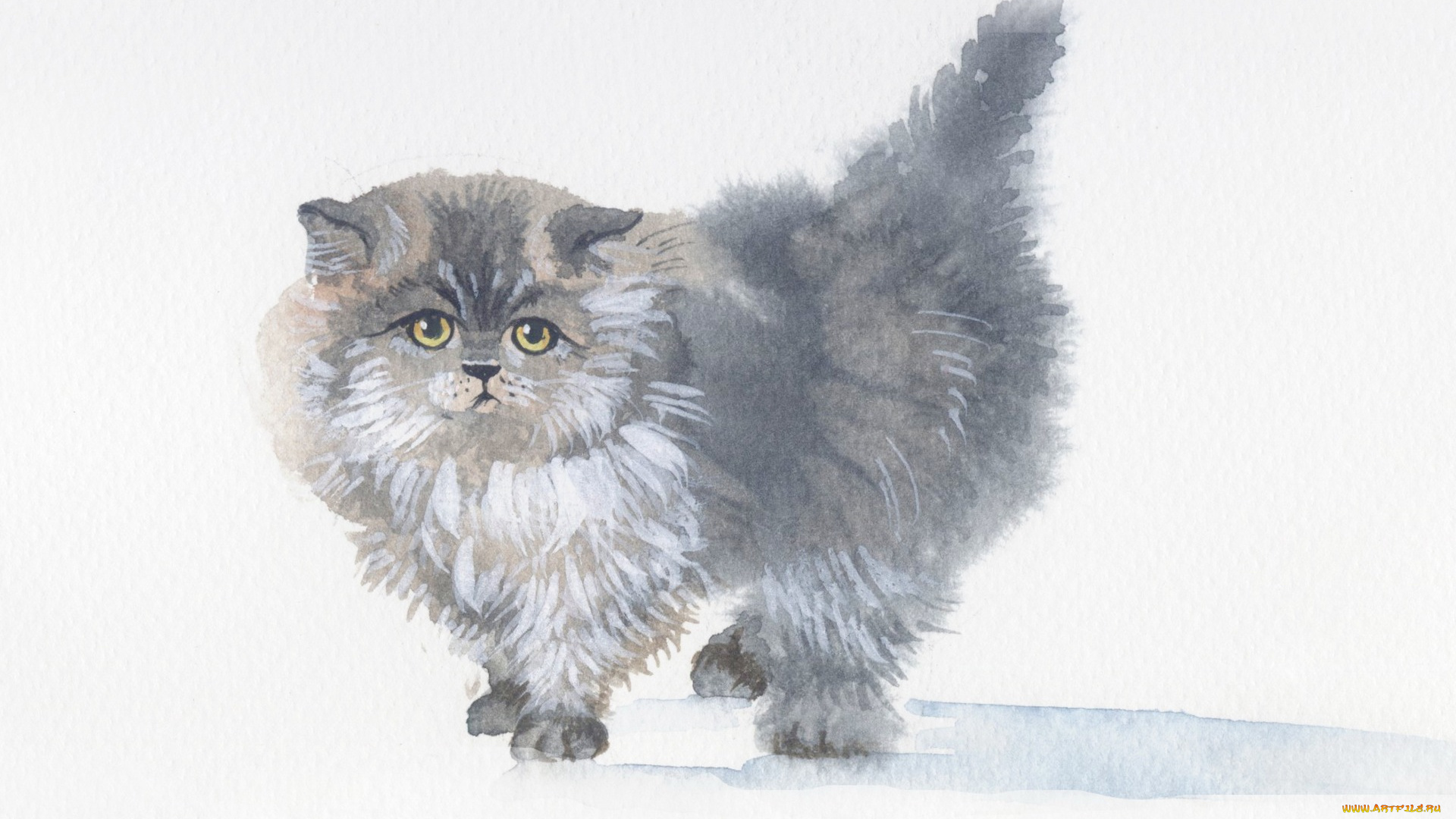 рисованное, животные, , коты, акварель, живопись, пушистый, серый, котенок