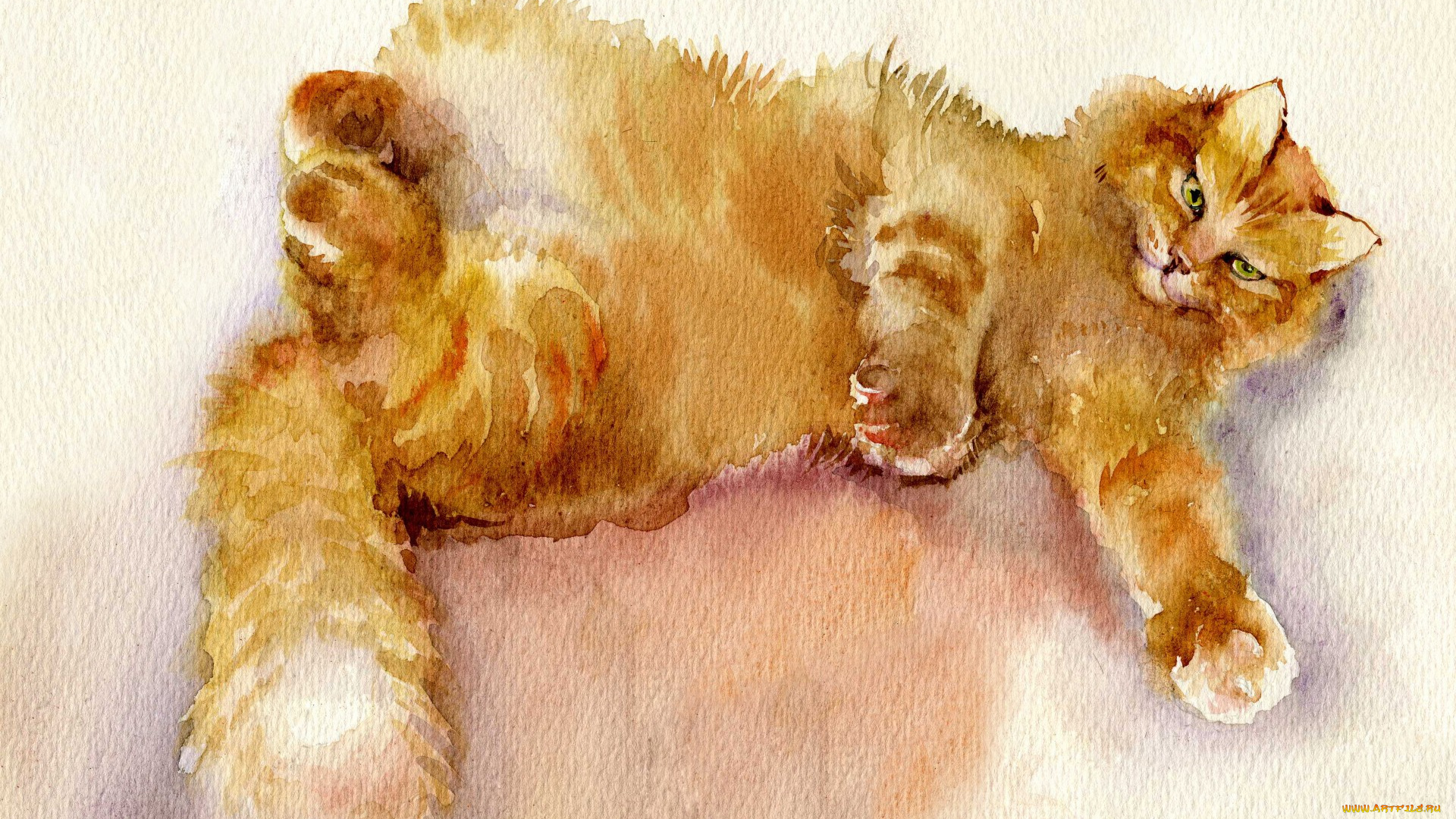 рисованное, животные, , коты, живопись, акварель, пушистый, рыжий, кот
