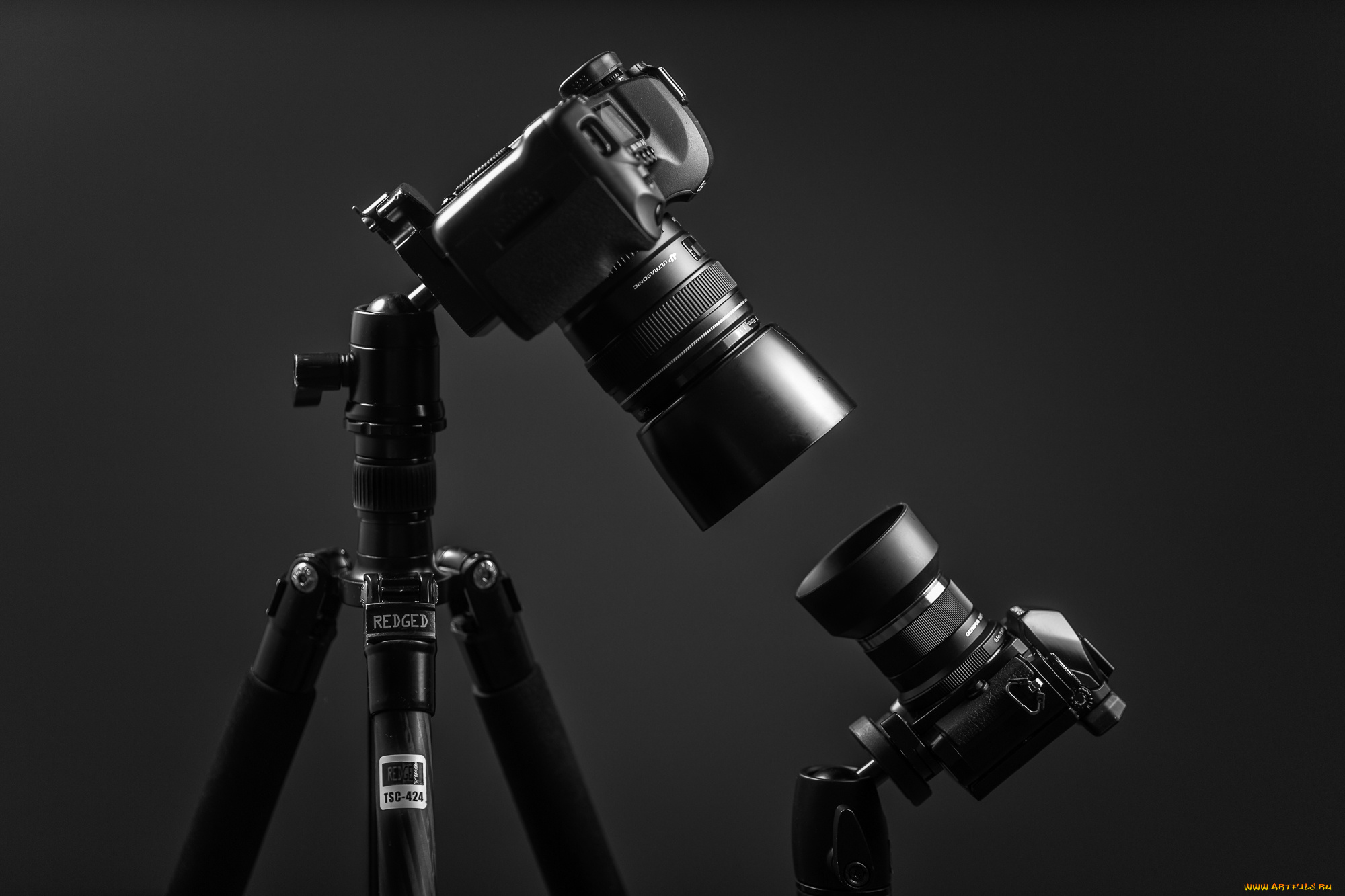 бренды, бренды, фотоаппаратов, , разное, canon, eos, 5d, mk, ii, om-d, e-m10, olympus