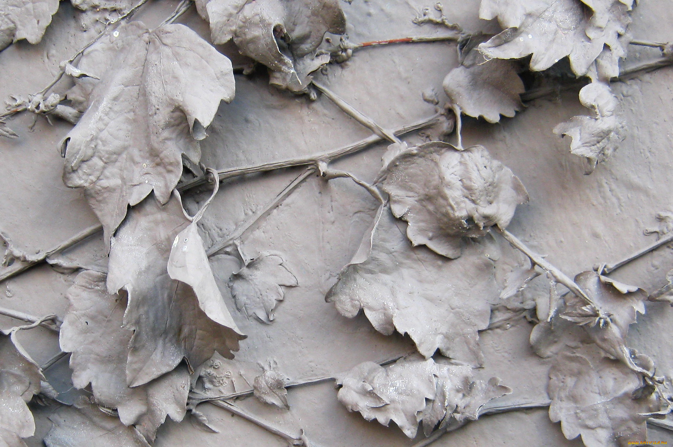 разное, -, другое, листья, фон, краска