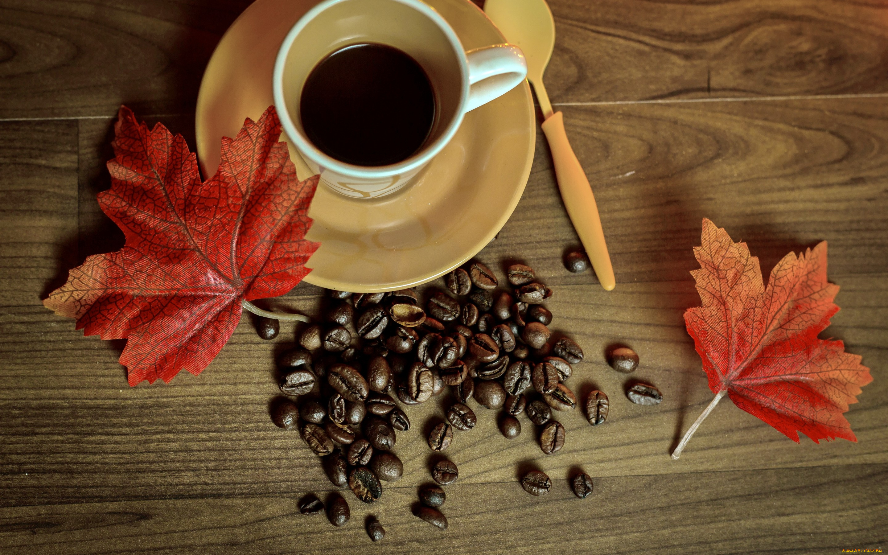 еда, кофе, , кофейные, зёрна, coffee, leaves, cup, beans, осень, книга, чашка, autumn