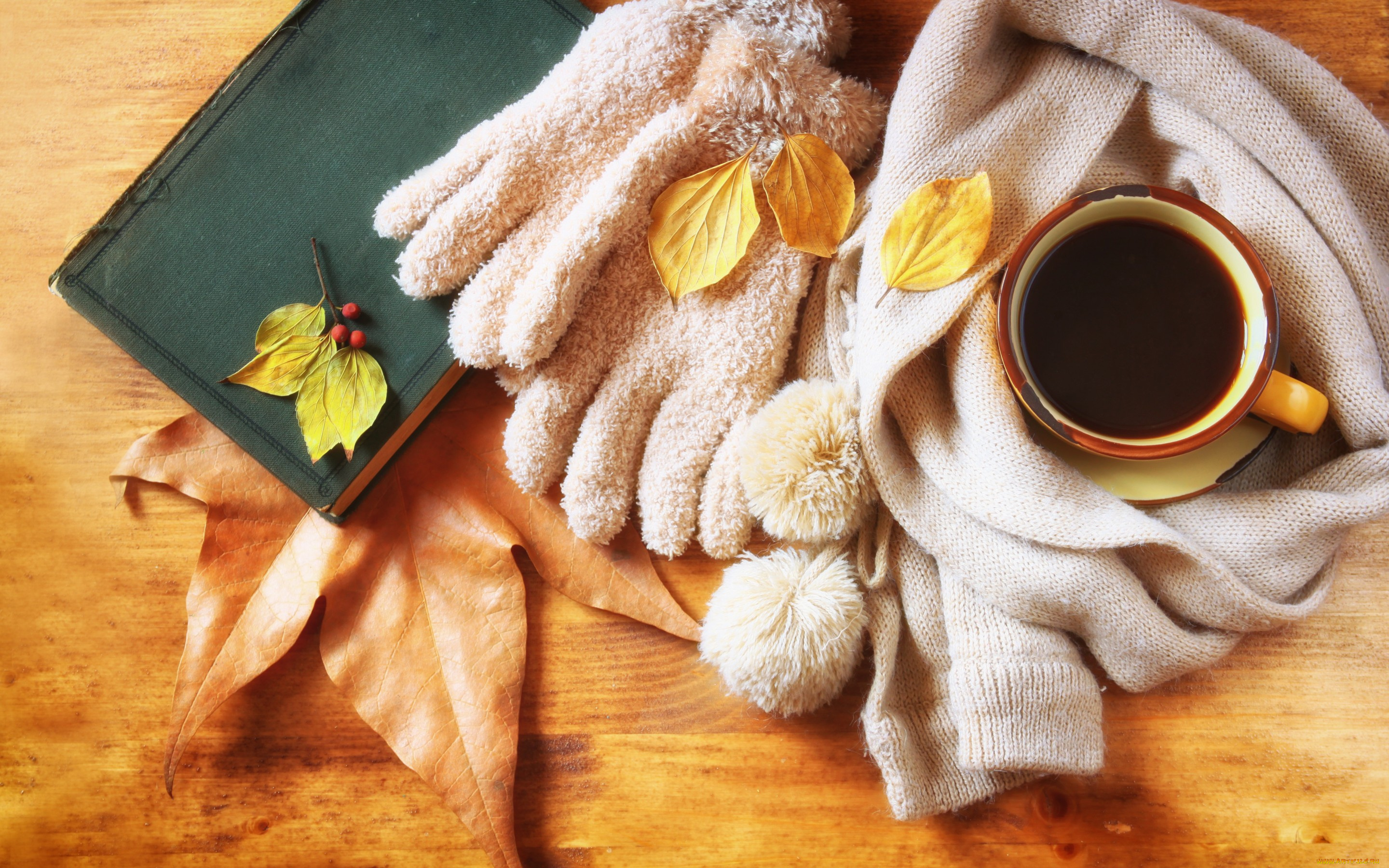 еда, кофе, , кофейные, зёрна, hot, cup, coffee, autumn, листья, шарф, чашка, осень, leaves