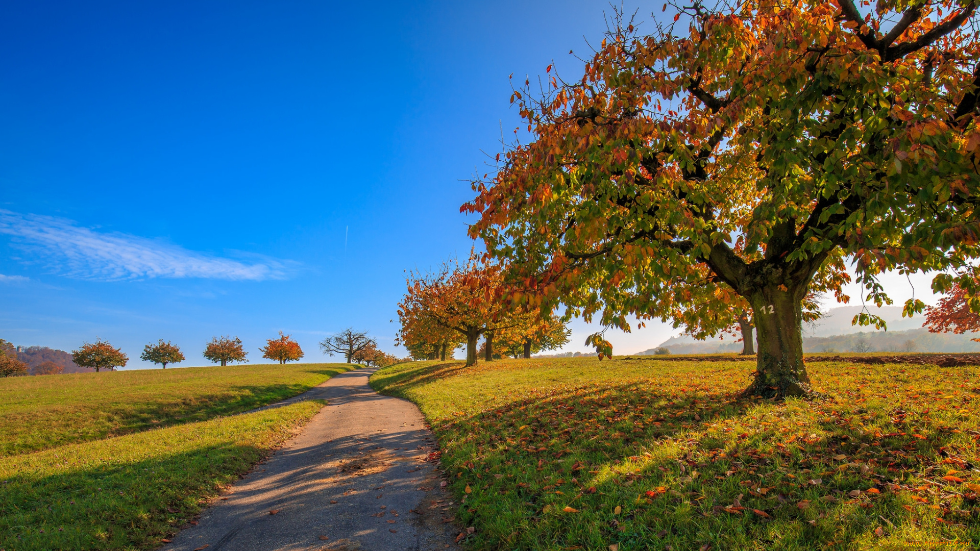 природа, дороги, тракт