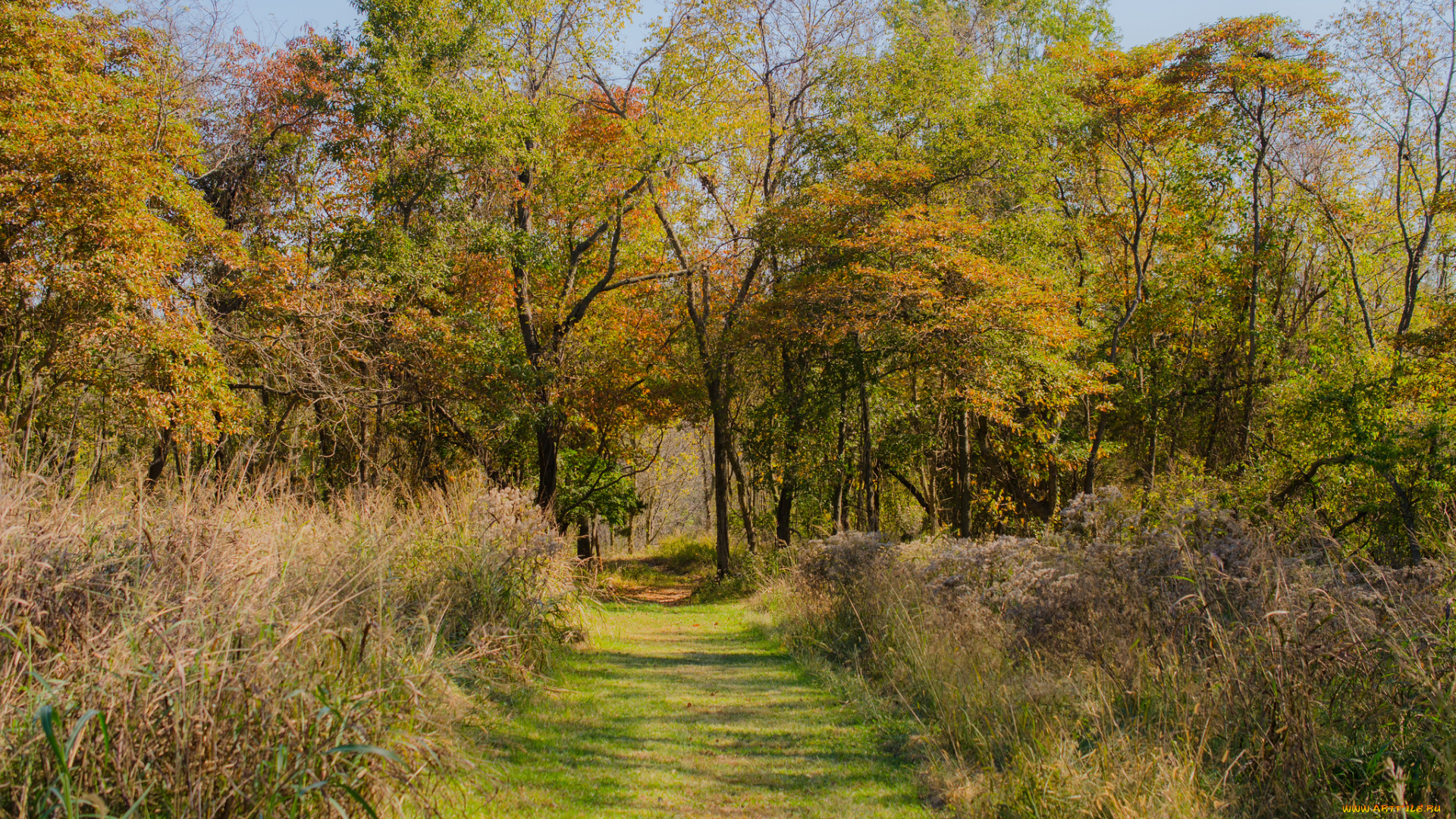 природа, дороги, тракт