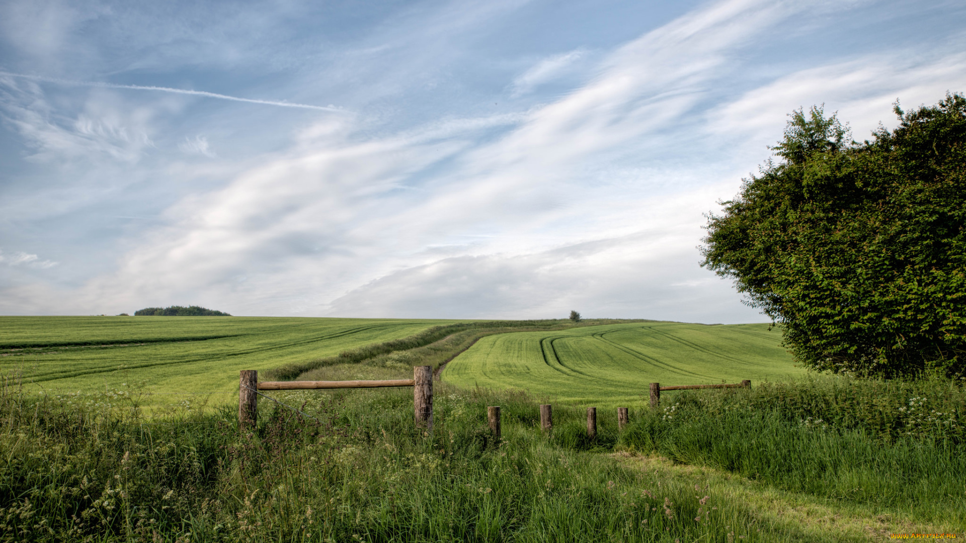 природа, пейзажи, простор