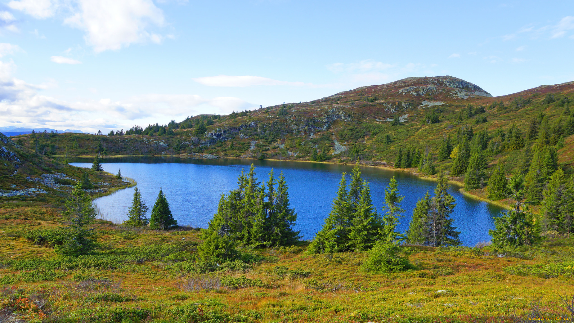 природа, реки, озера, лес, река