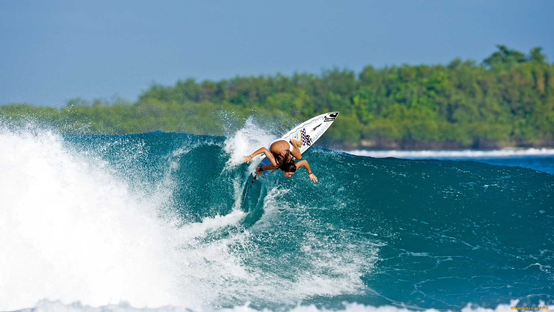 спорт, серфинг, девушка, доска, волна, surfing