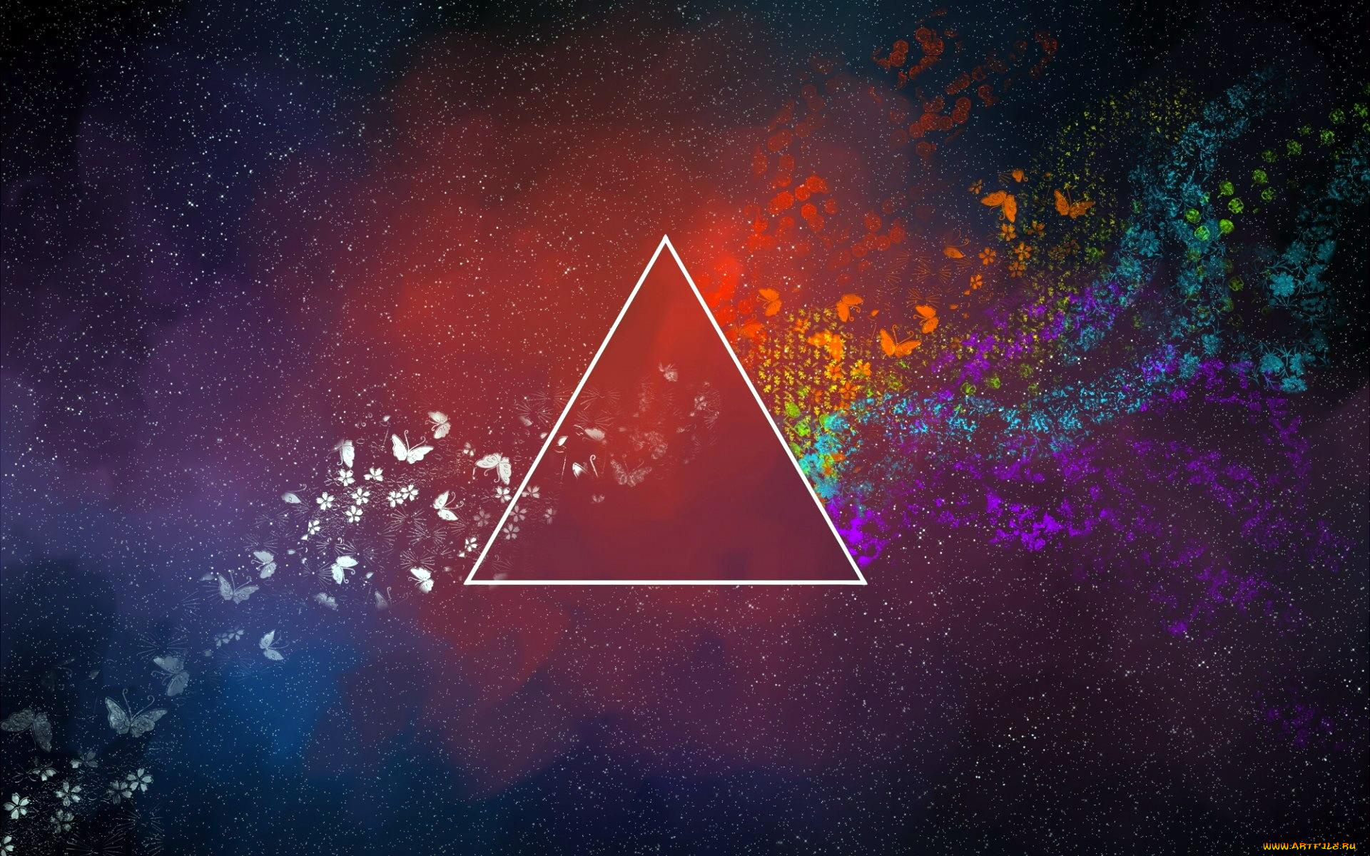 векторная, графика, животные, , animals, треугольник, цвета, цветы, бабочки