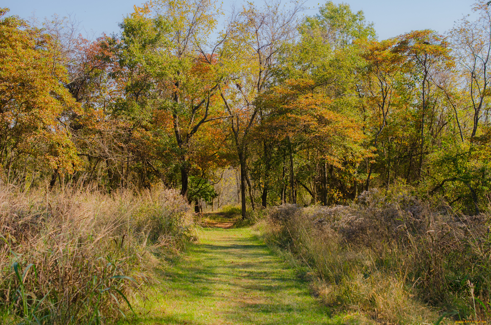 природа, дороги, тракт