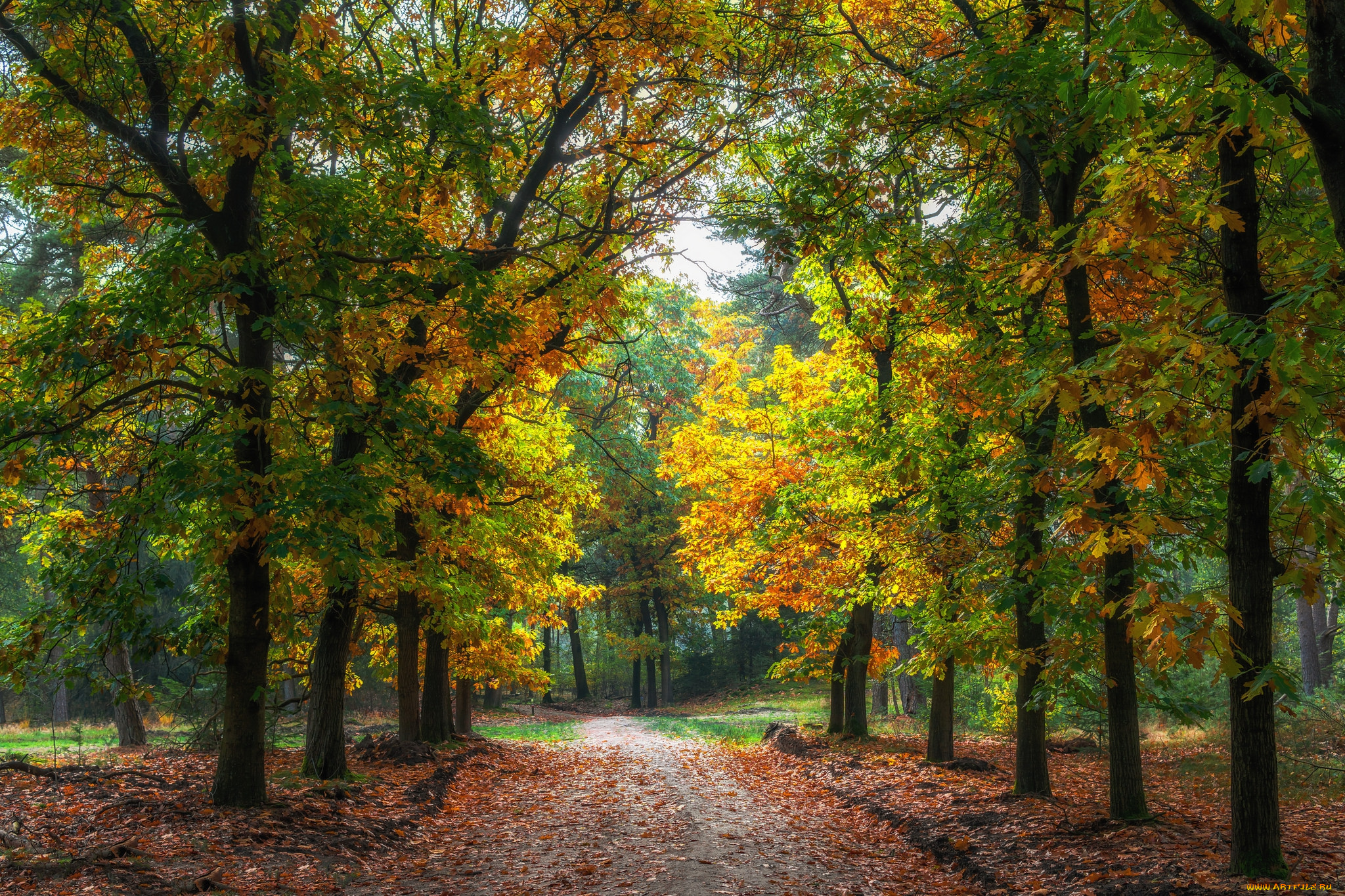 природа, дороги, тракт