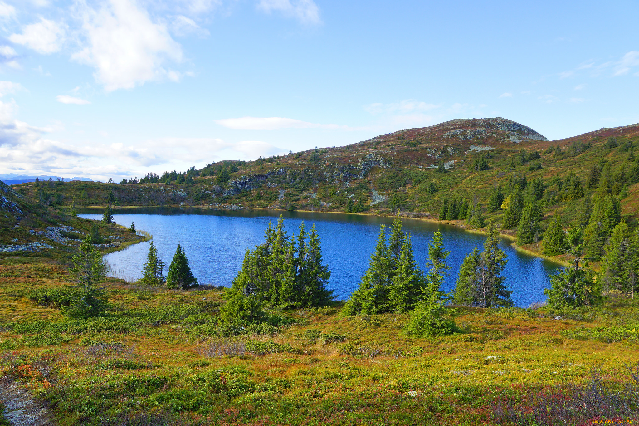 природа, реки, озера, лес, река