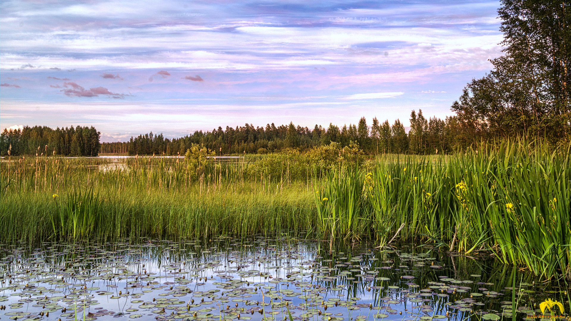 природа, реки, озера, простор