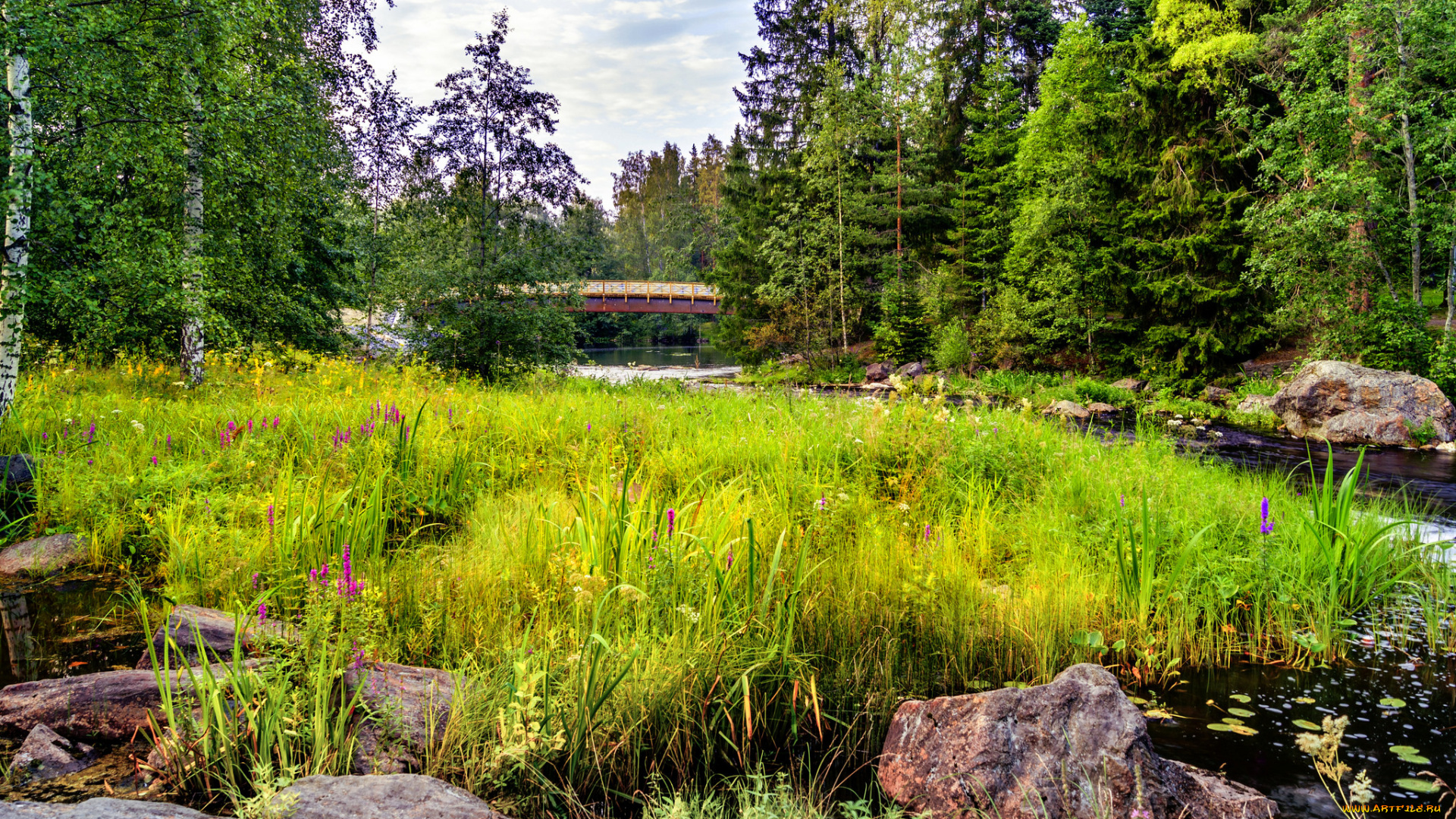 природа, реки, озера, простор