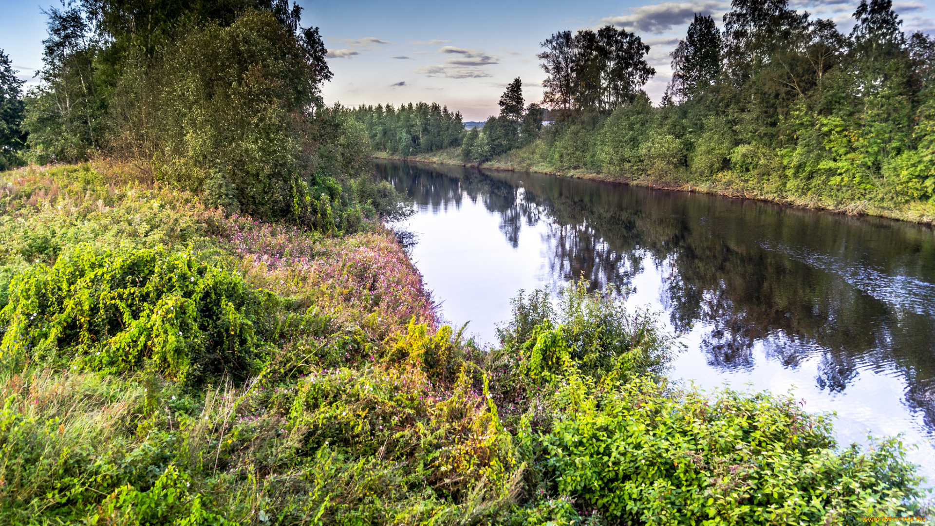 природа, реки, озера, простор