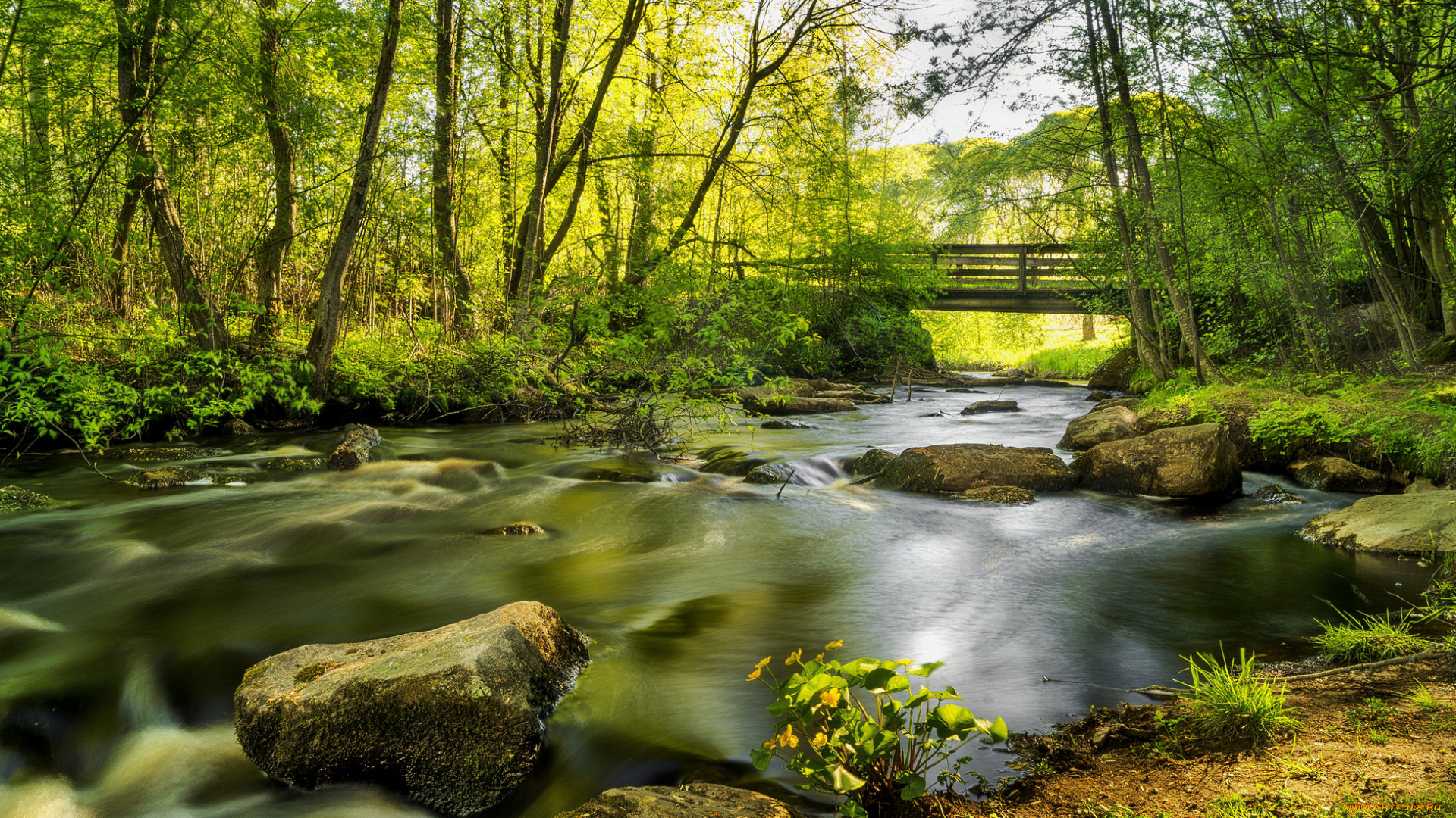 природа, реки, озера, простор