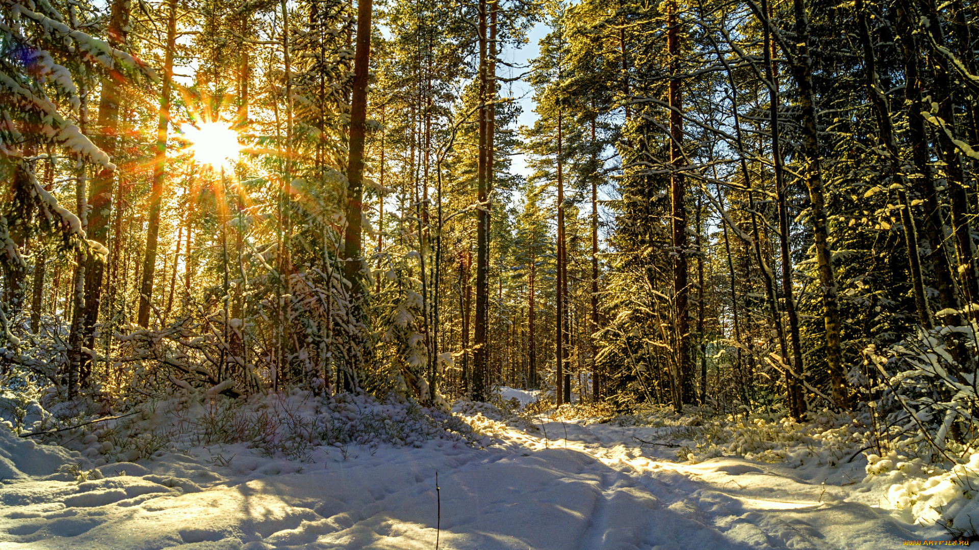 природа, зима, простор