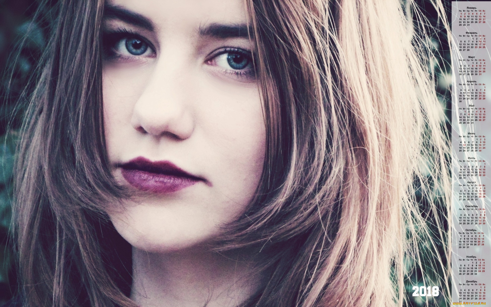 календари, девушки, взгляд, лицо