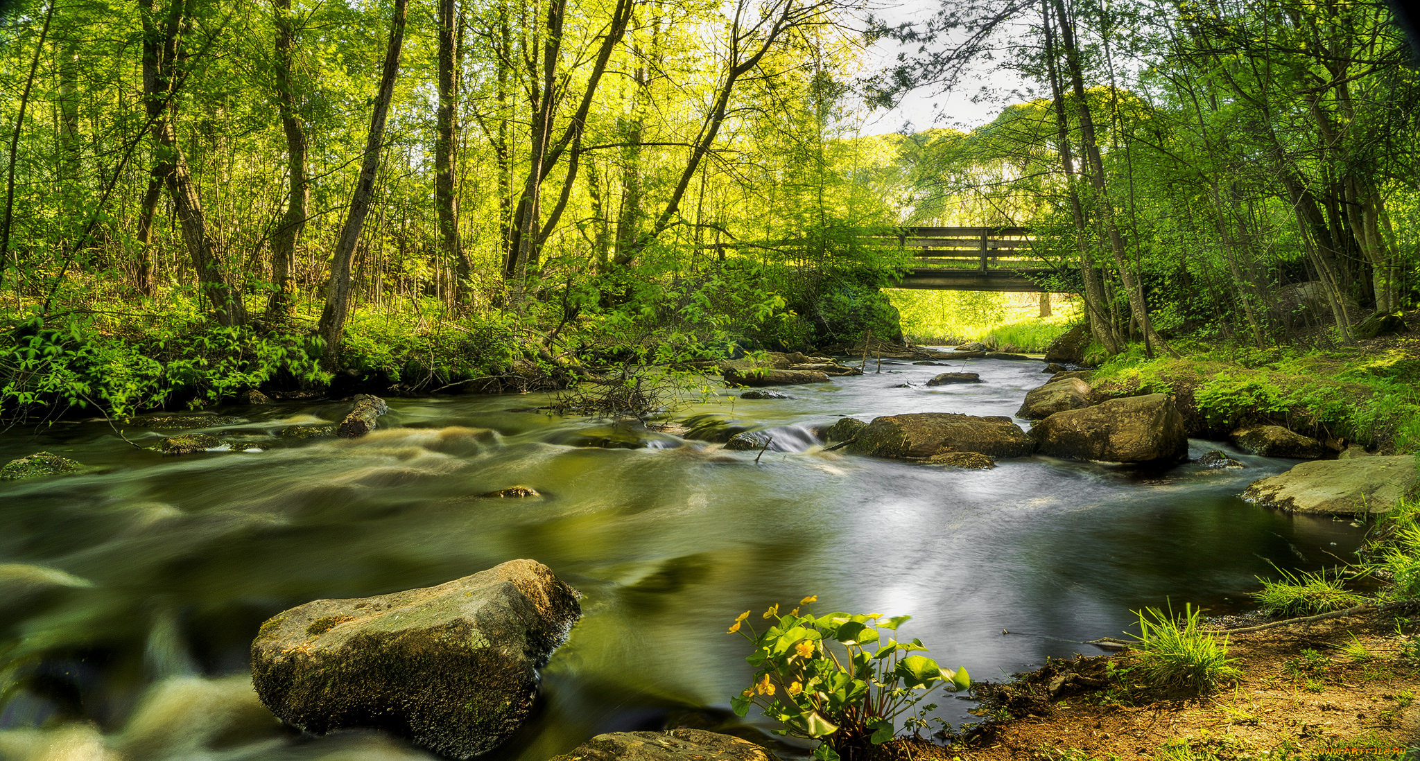 природа, реки, озера, простор