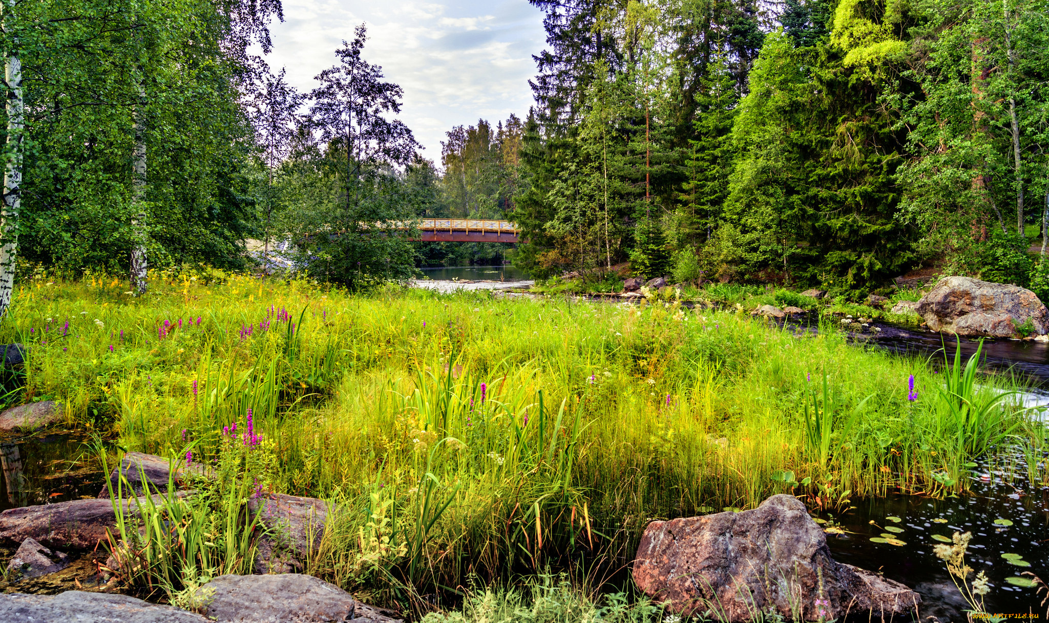 природа, реки, озера, простор