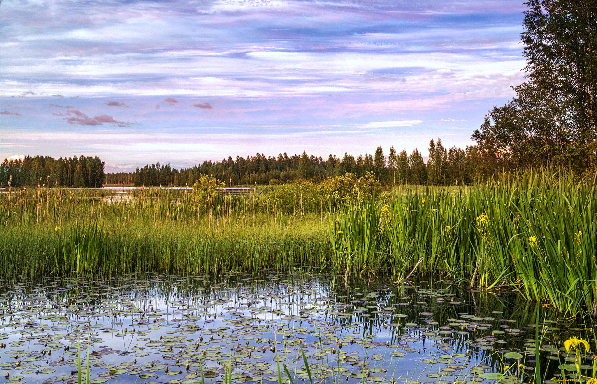 природа, реки, озера, простор