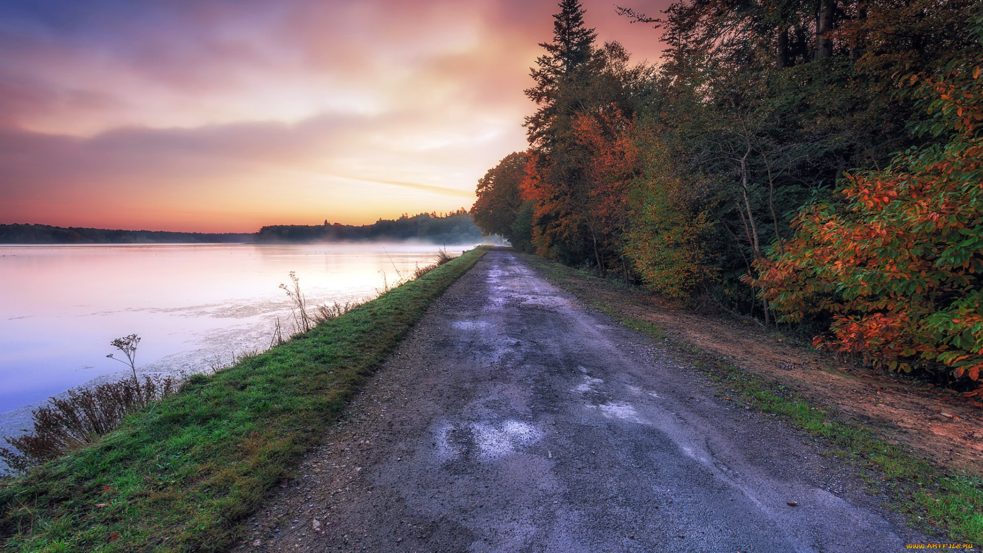 природа, дороги, дорога, осень, туман, река