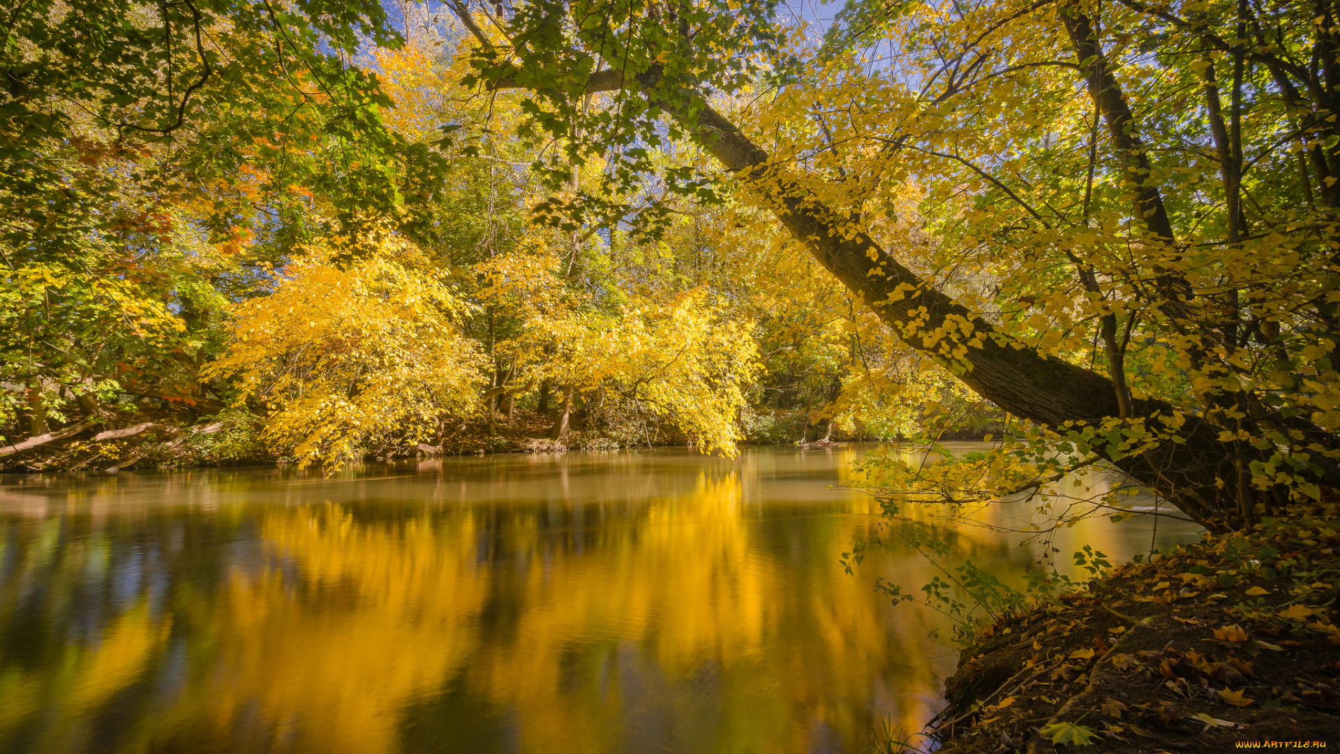 природа, реки, озера, простор