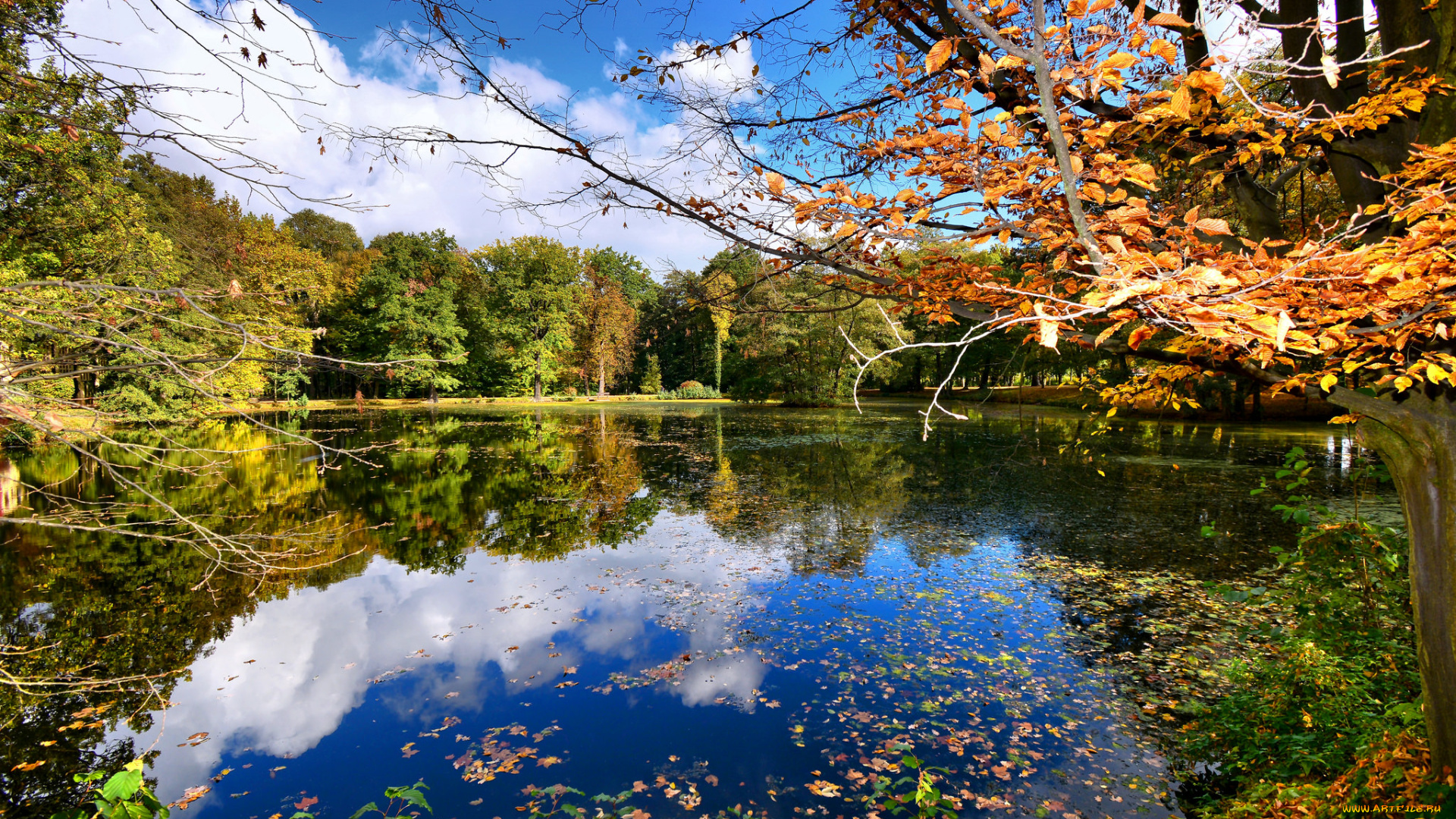 природа, реки, озера, простор