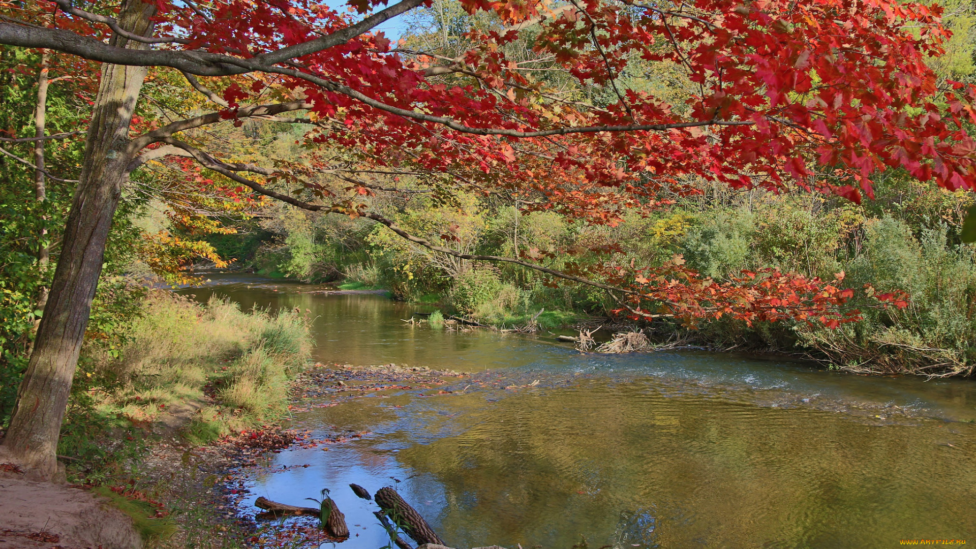природа, реки, озера, простор