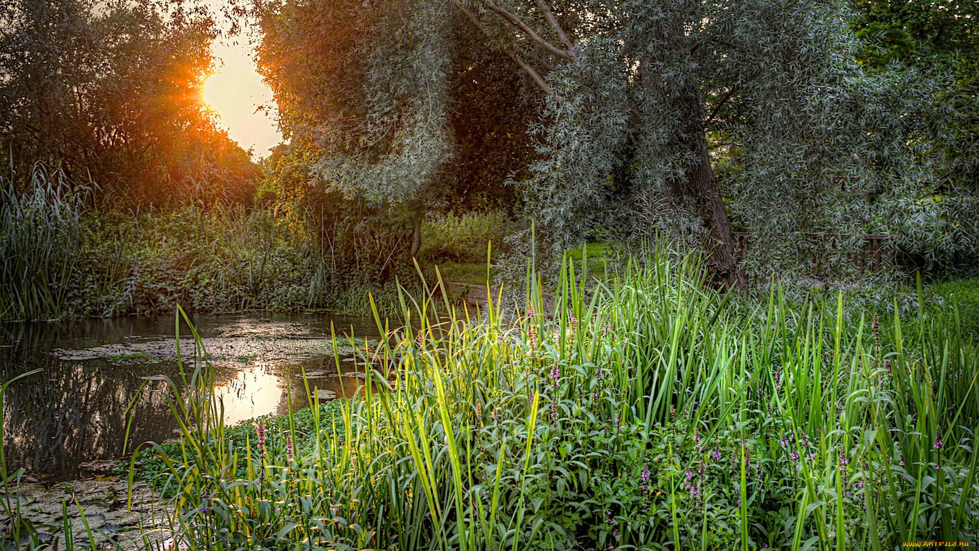 природа, реки, озера, простор