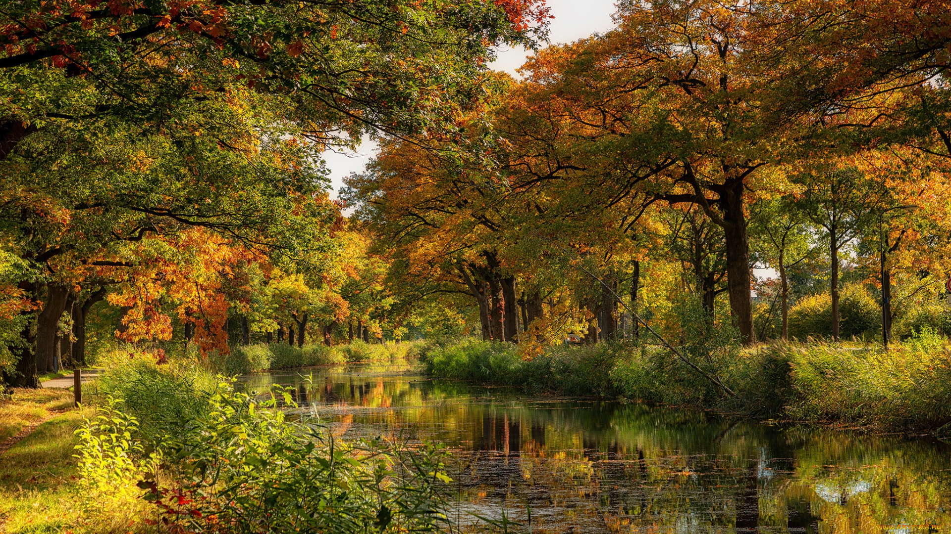 природа, реки, озера, простор