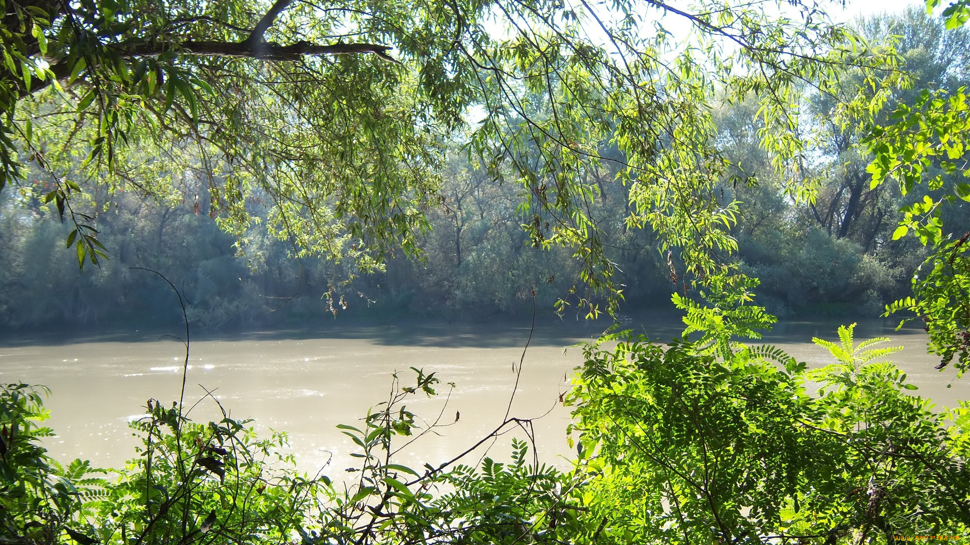 природа, реки, озера, река