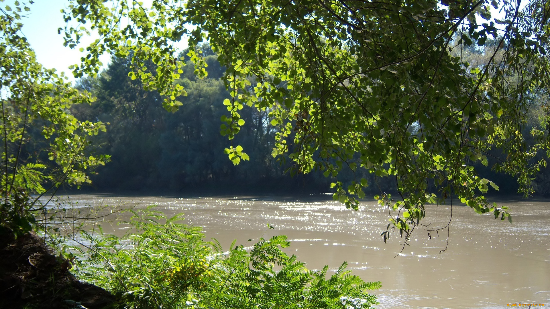 природа, реки, озера, река