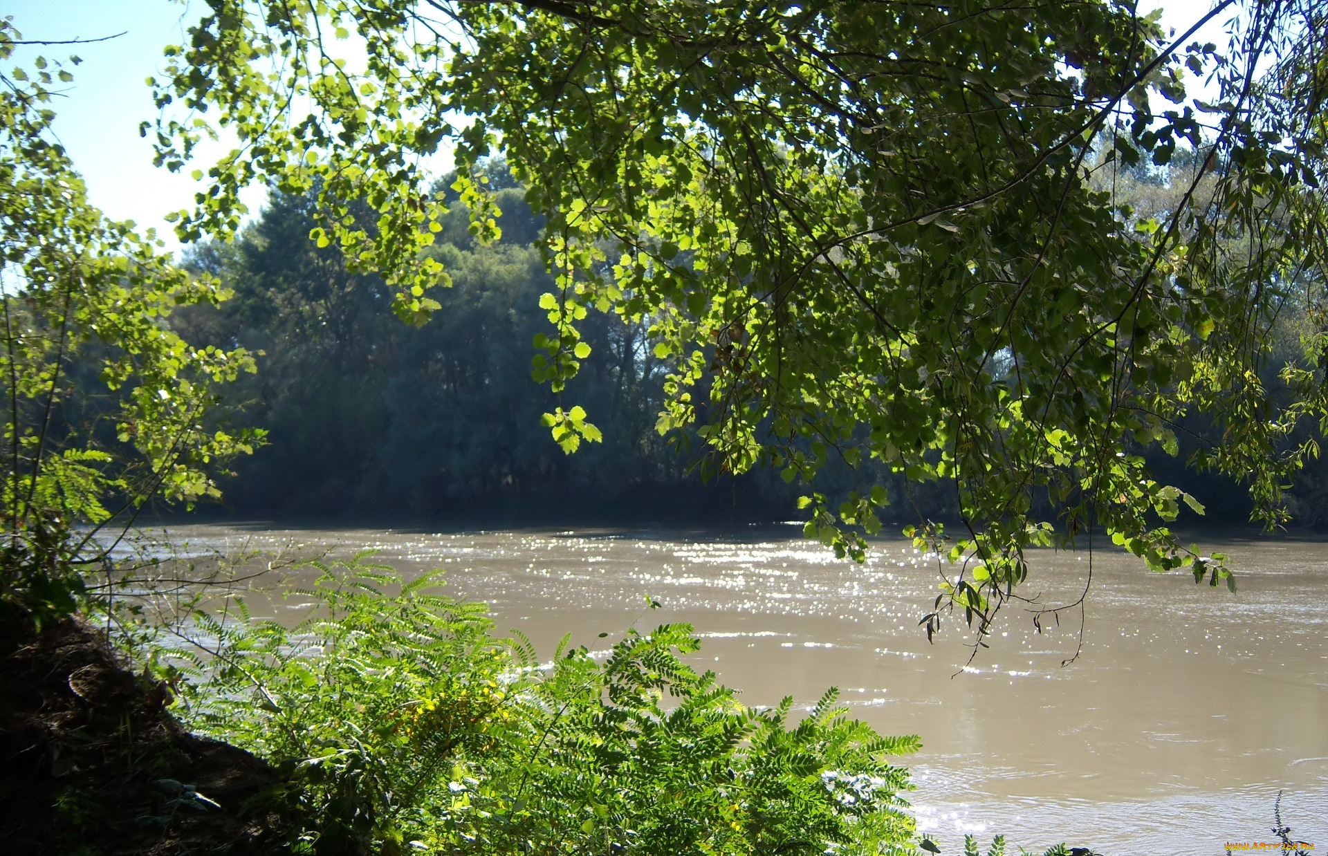 природа, реки, озера, река