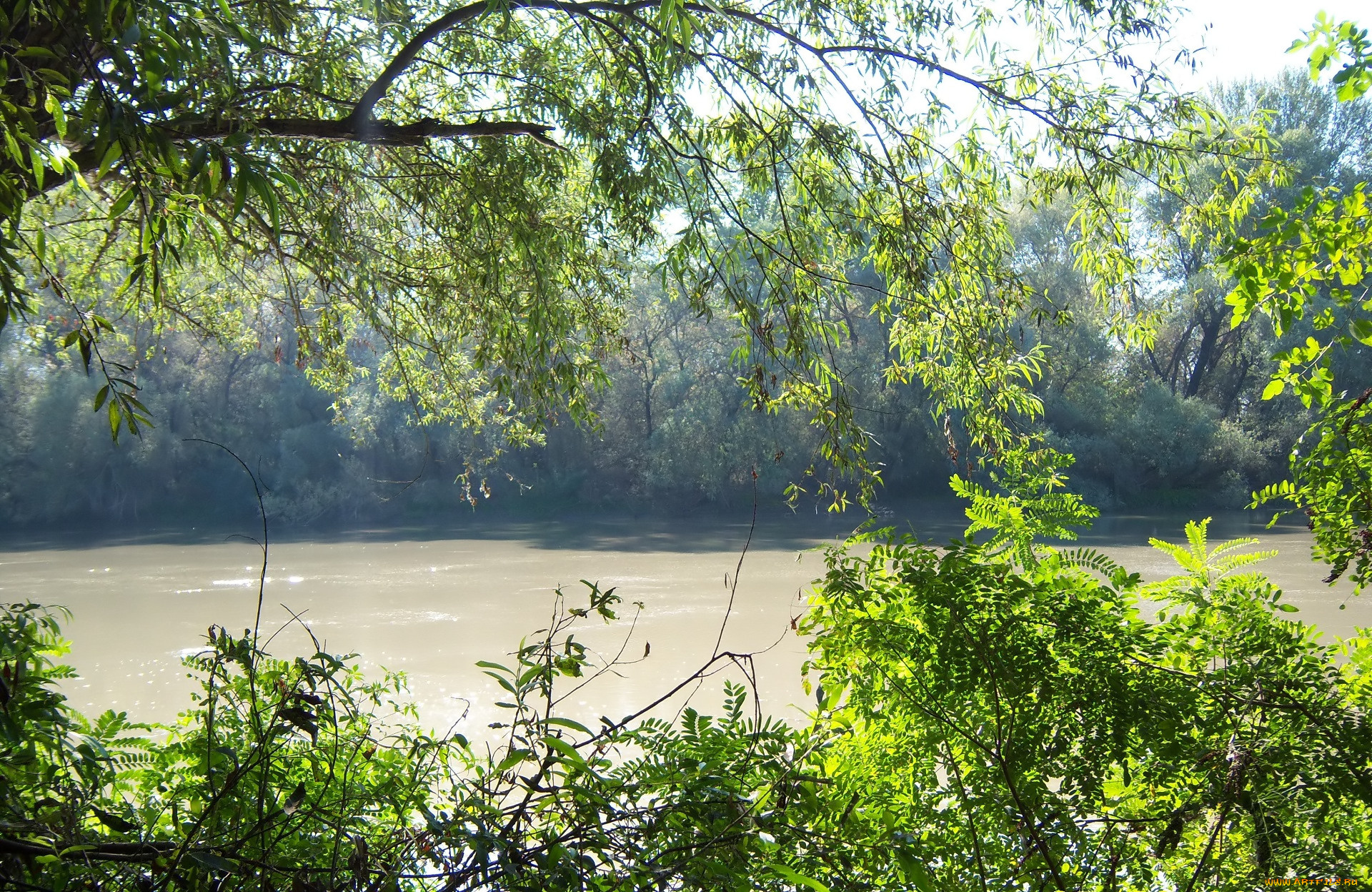 природа, реки, озера, река