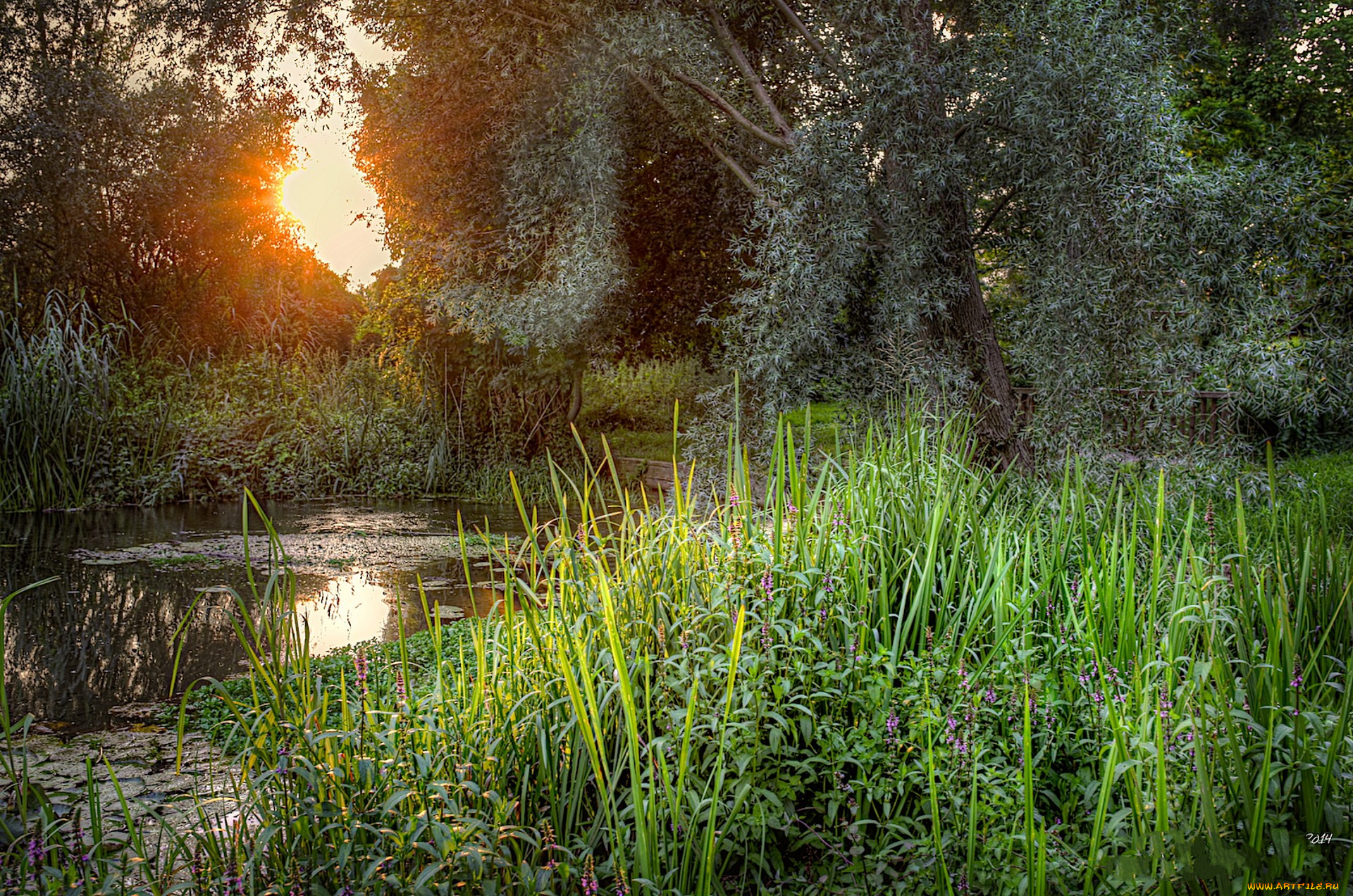 природа, реки, озера, простор