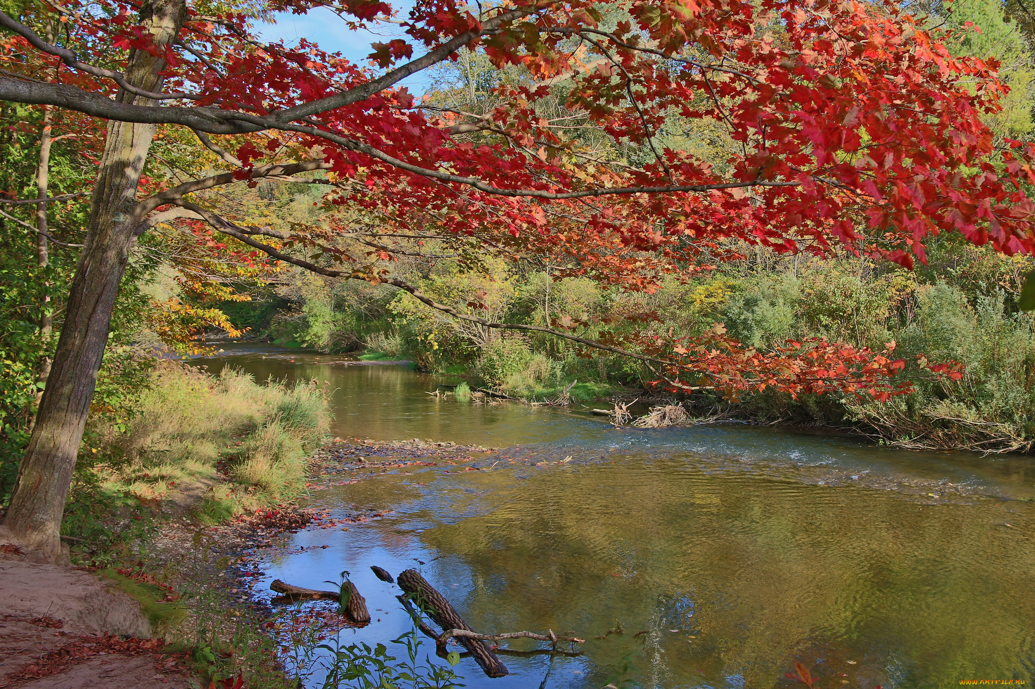 природа, реки, озера, простор