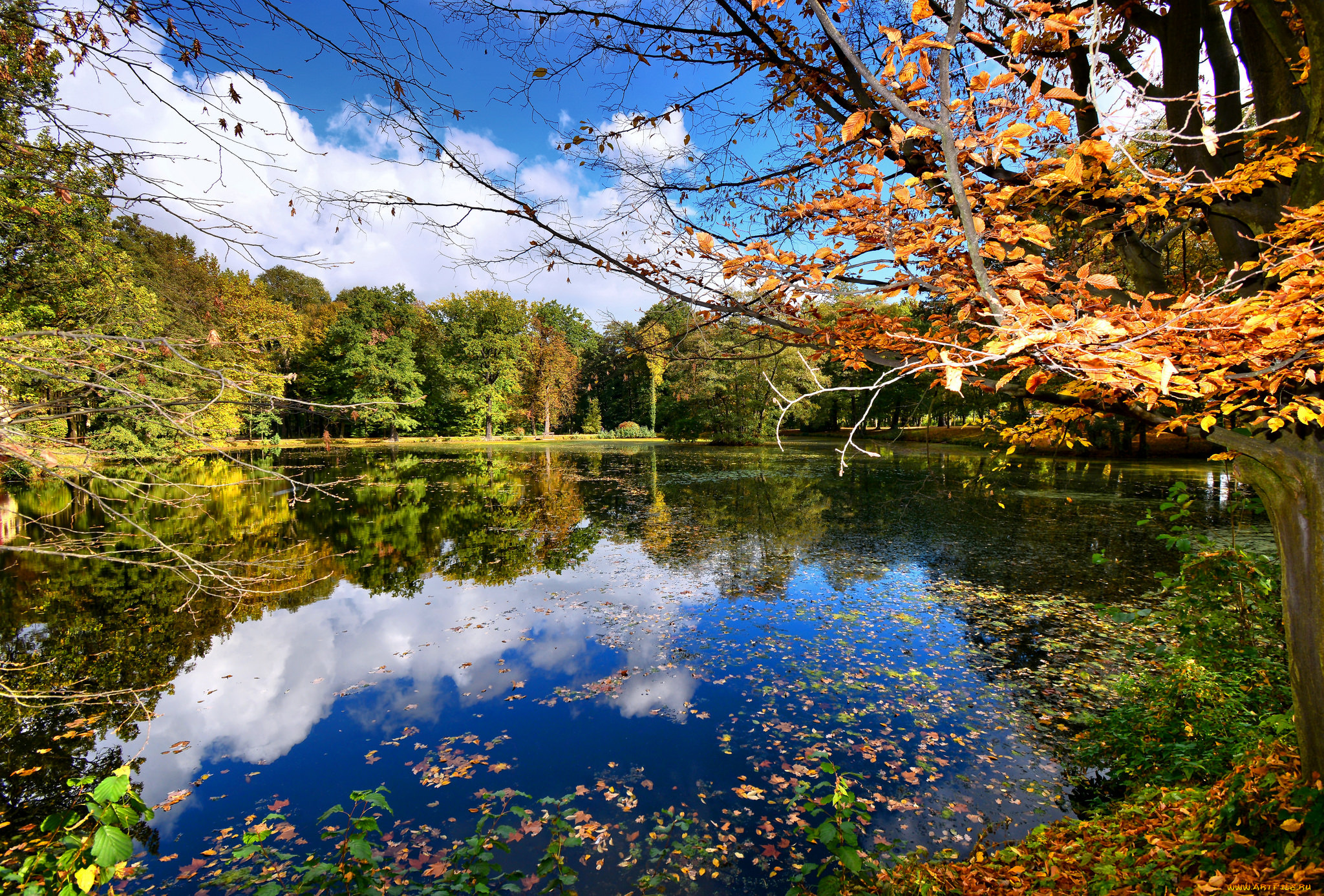 природа, реки, озера, простор