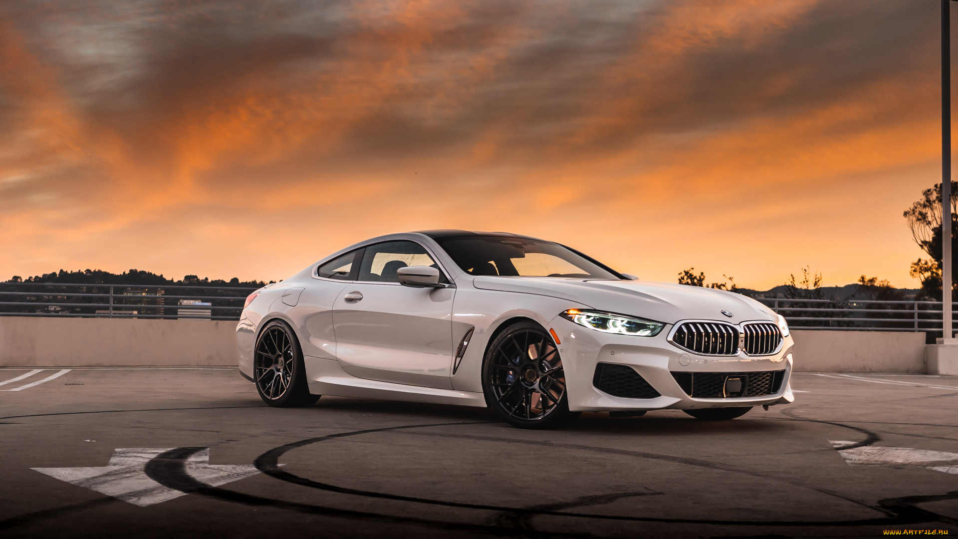 автомобили, bmw, m850i