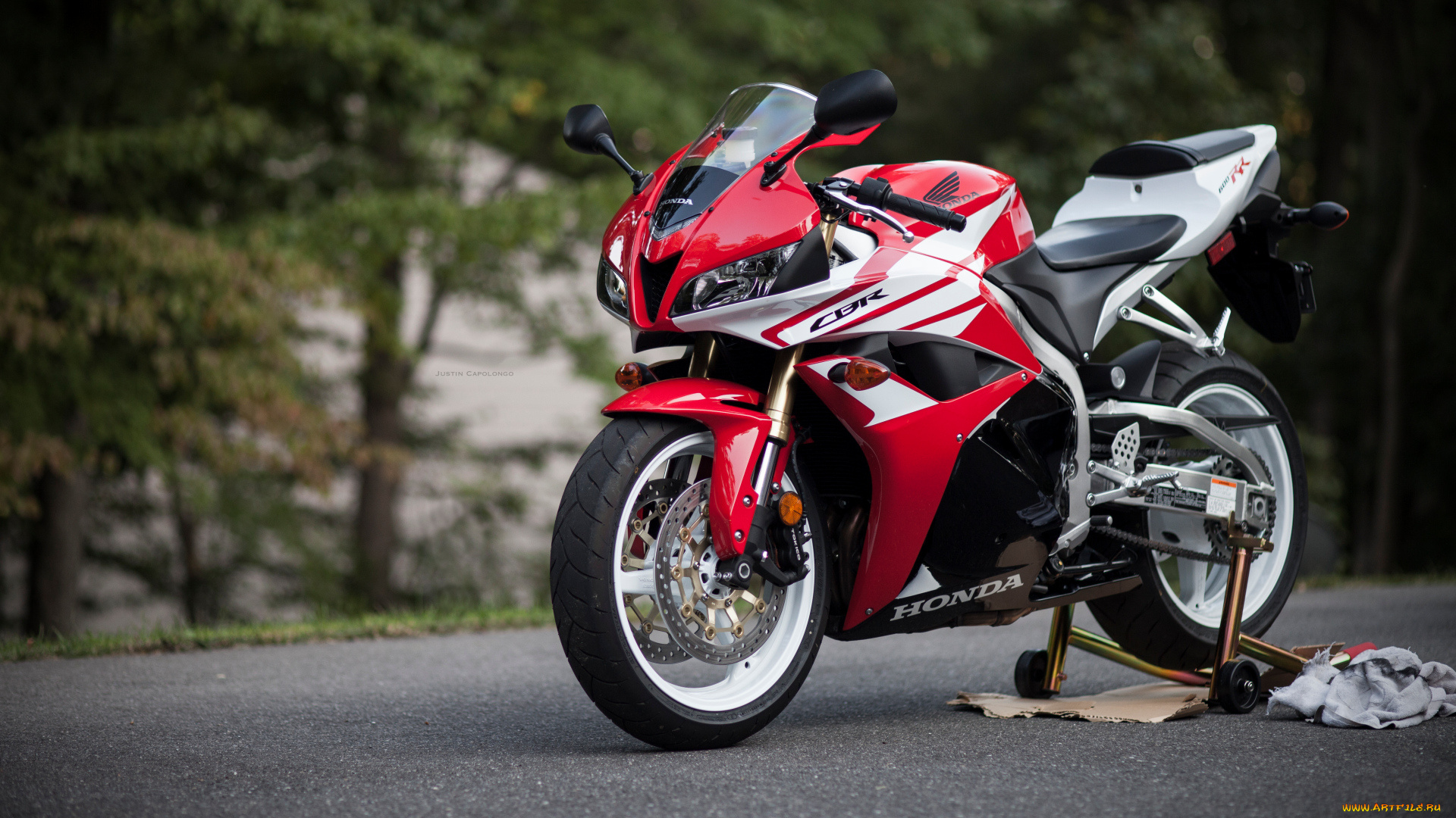 мотоциклы, honda, cbr, 600rr, хонда, спортбайк