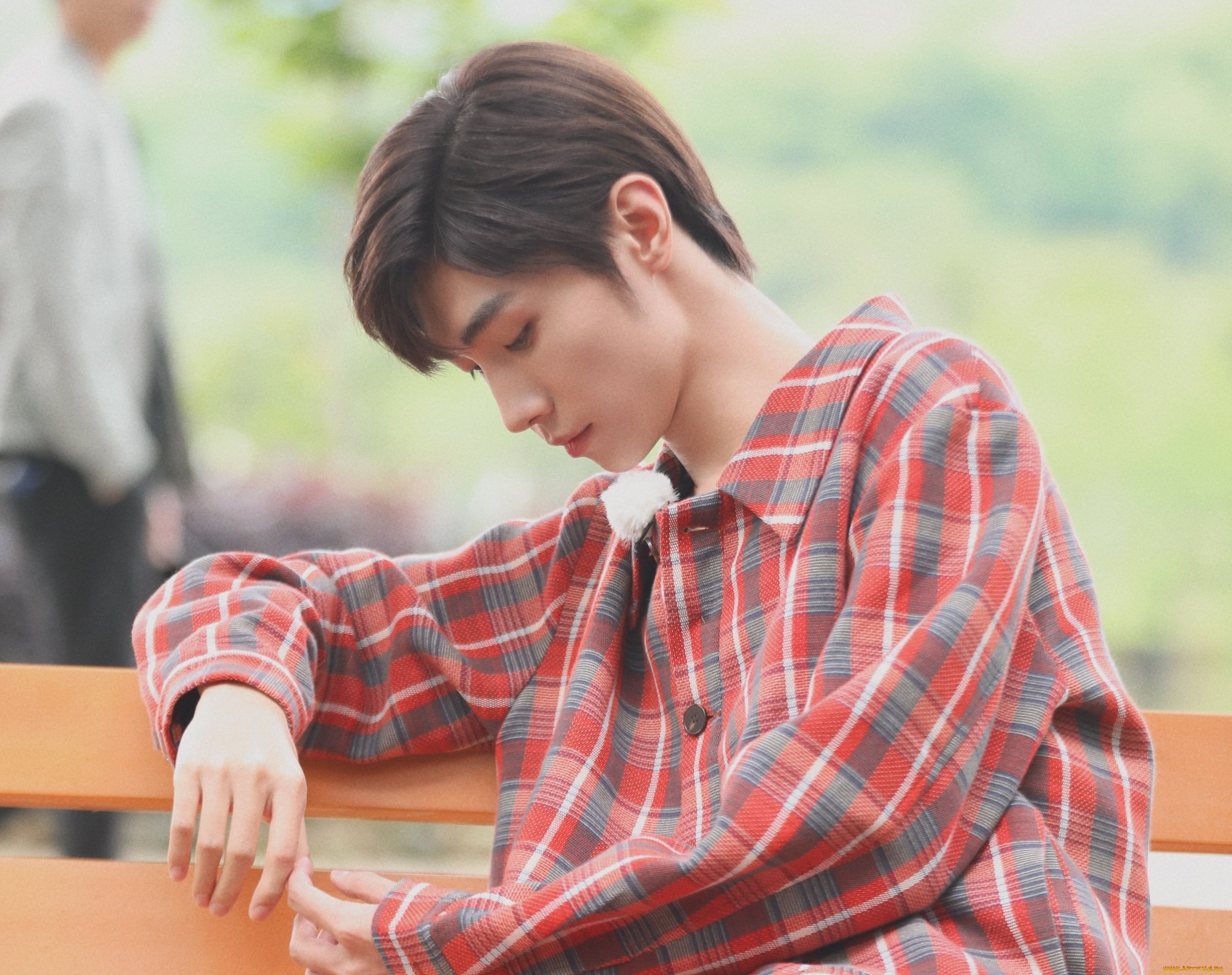 мужчины, song, ji, yang, сун, цзиян, китайский, актёр, певец